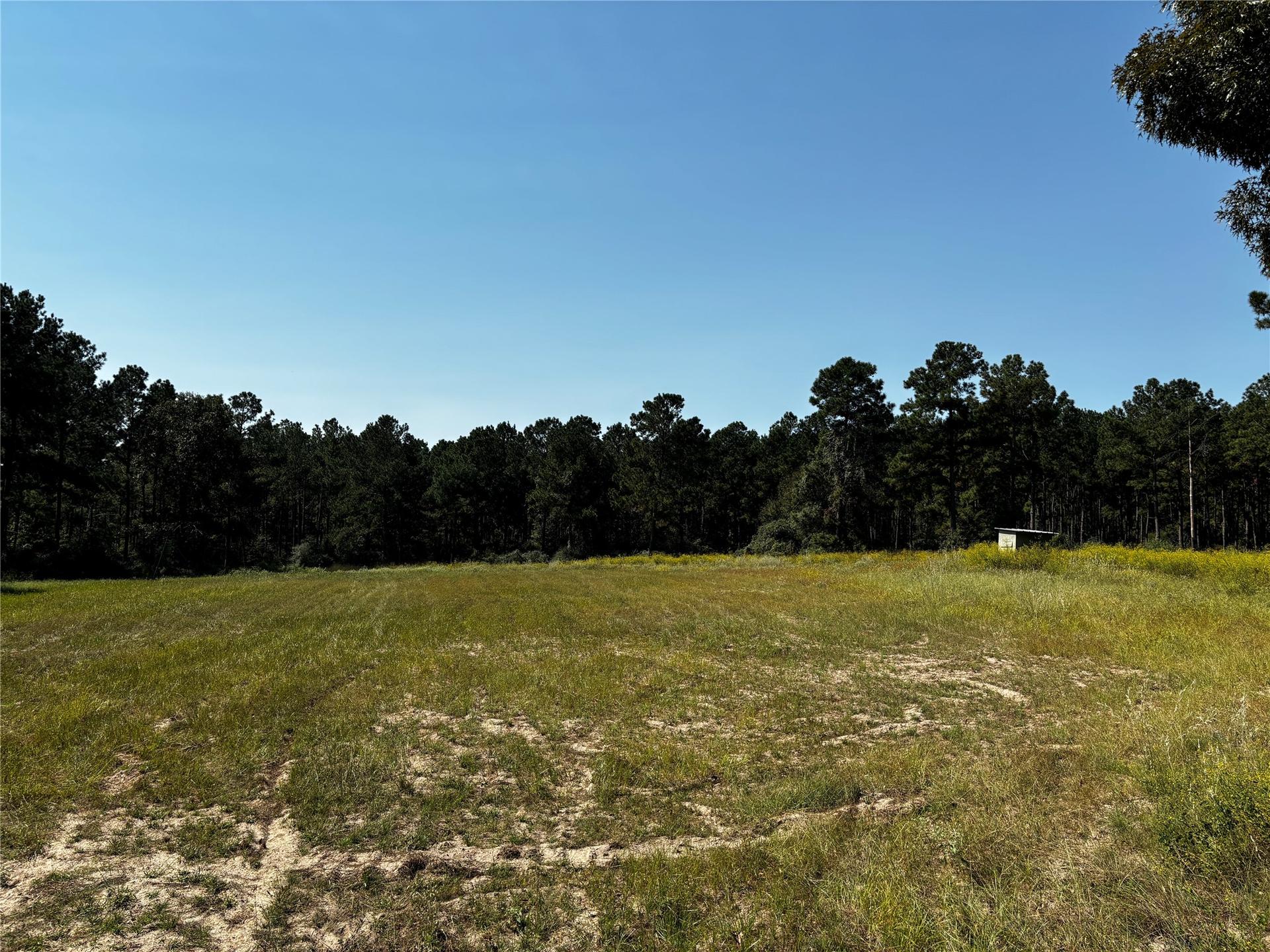 Tract 3 Trinity Lady Park, Trinity, TX, 75862