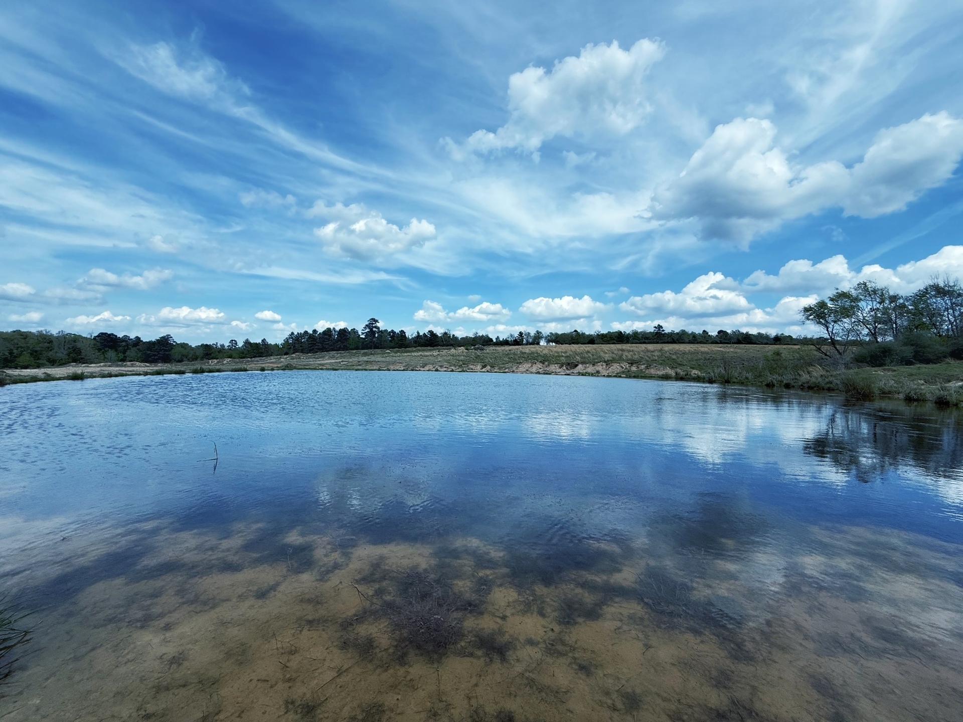 143 ac CR 236, Oakwood, TX, 75855