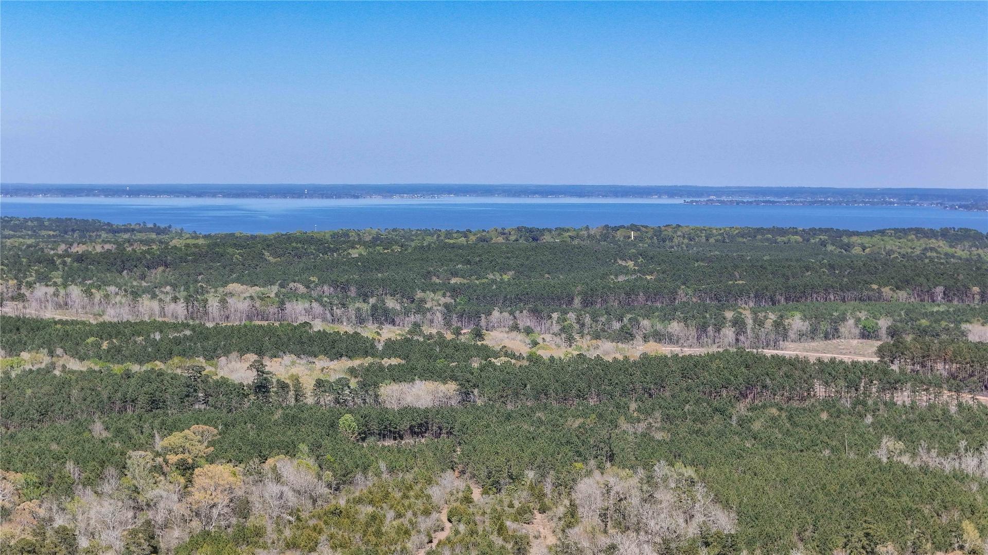 TBD FM 946, Coldspring, TX, 77331