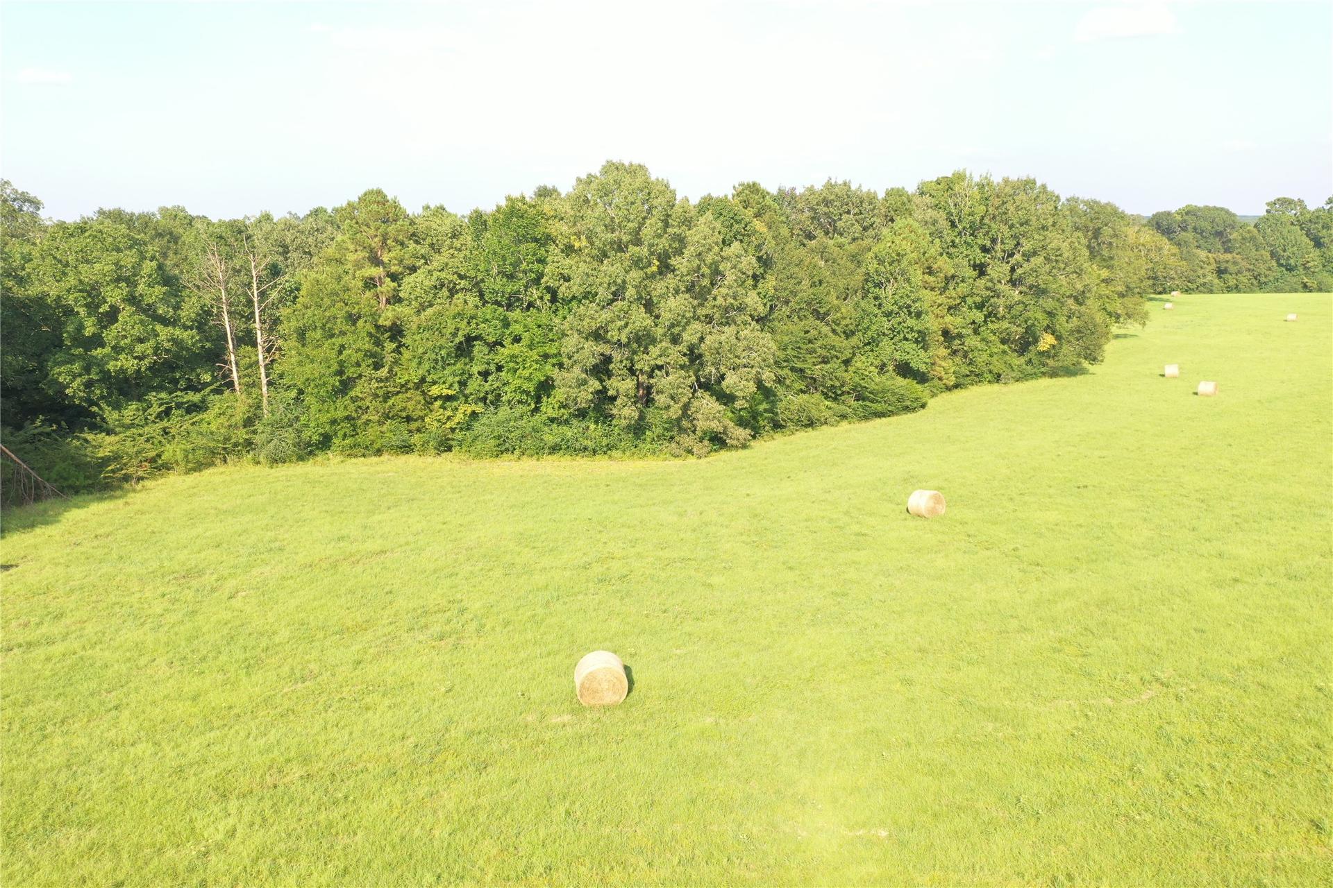 TBD David Hon Rd, Livingston, TX, 77351