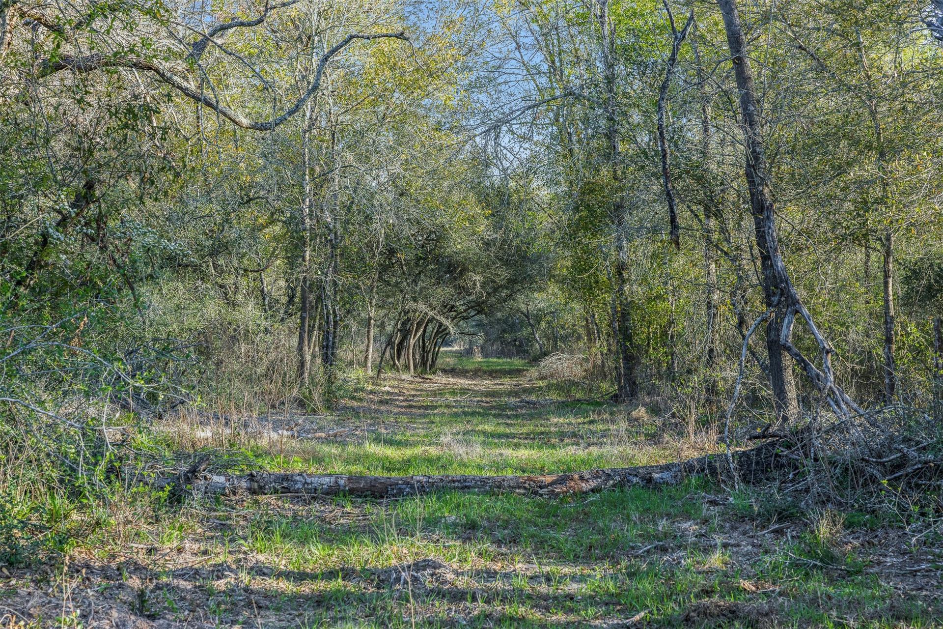 1746 County Road 103, Columbus, TX, 78934