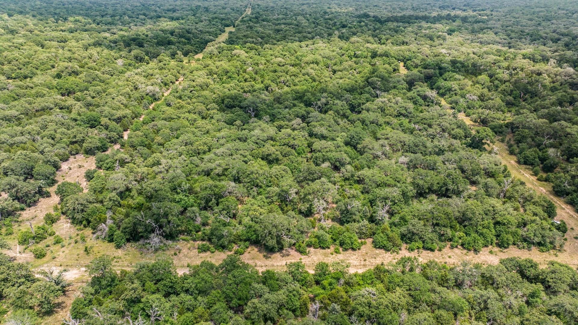 TBD CR 215, Weimar, TX, 78962