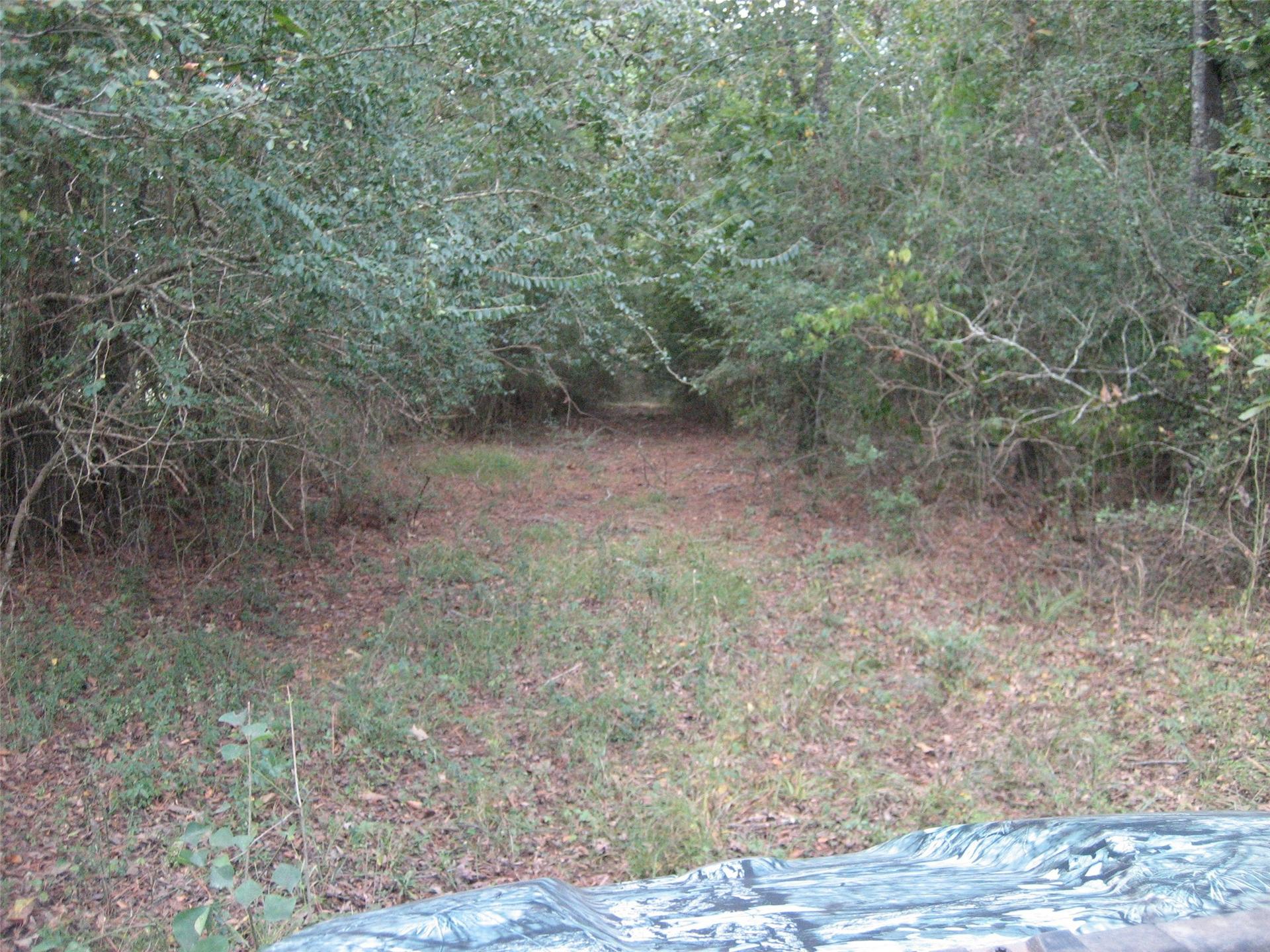 00 State Hwy 21 East, Crockett, TX, 75835