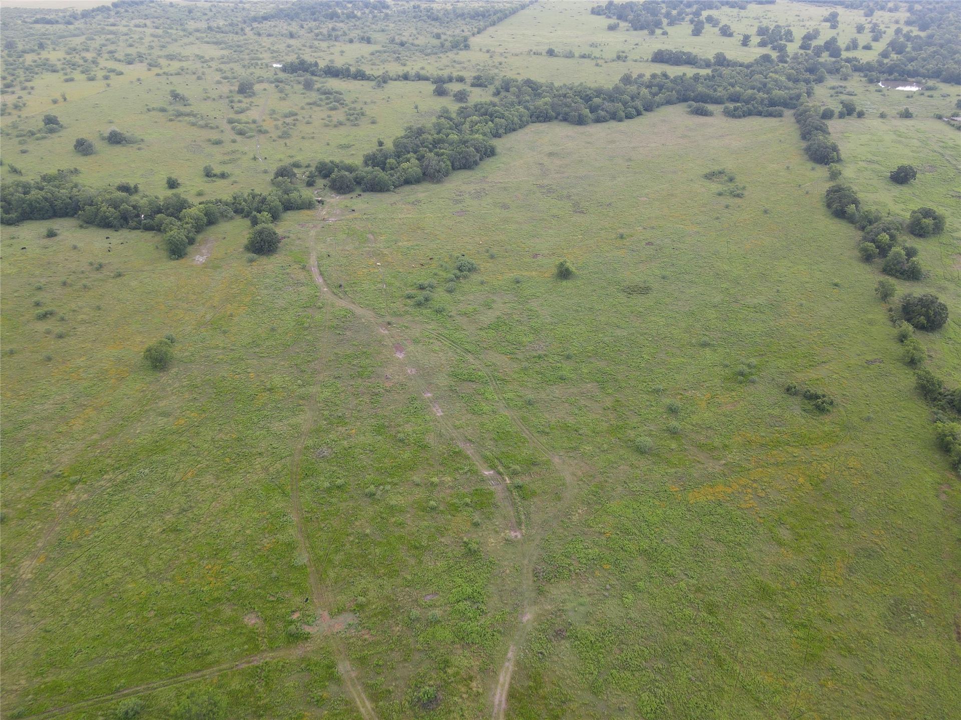 5784 COUNTY ROAD 123, Iola, TX, 77861