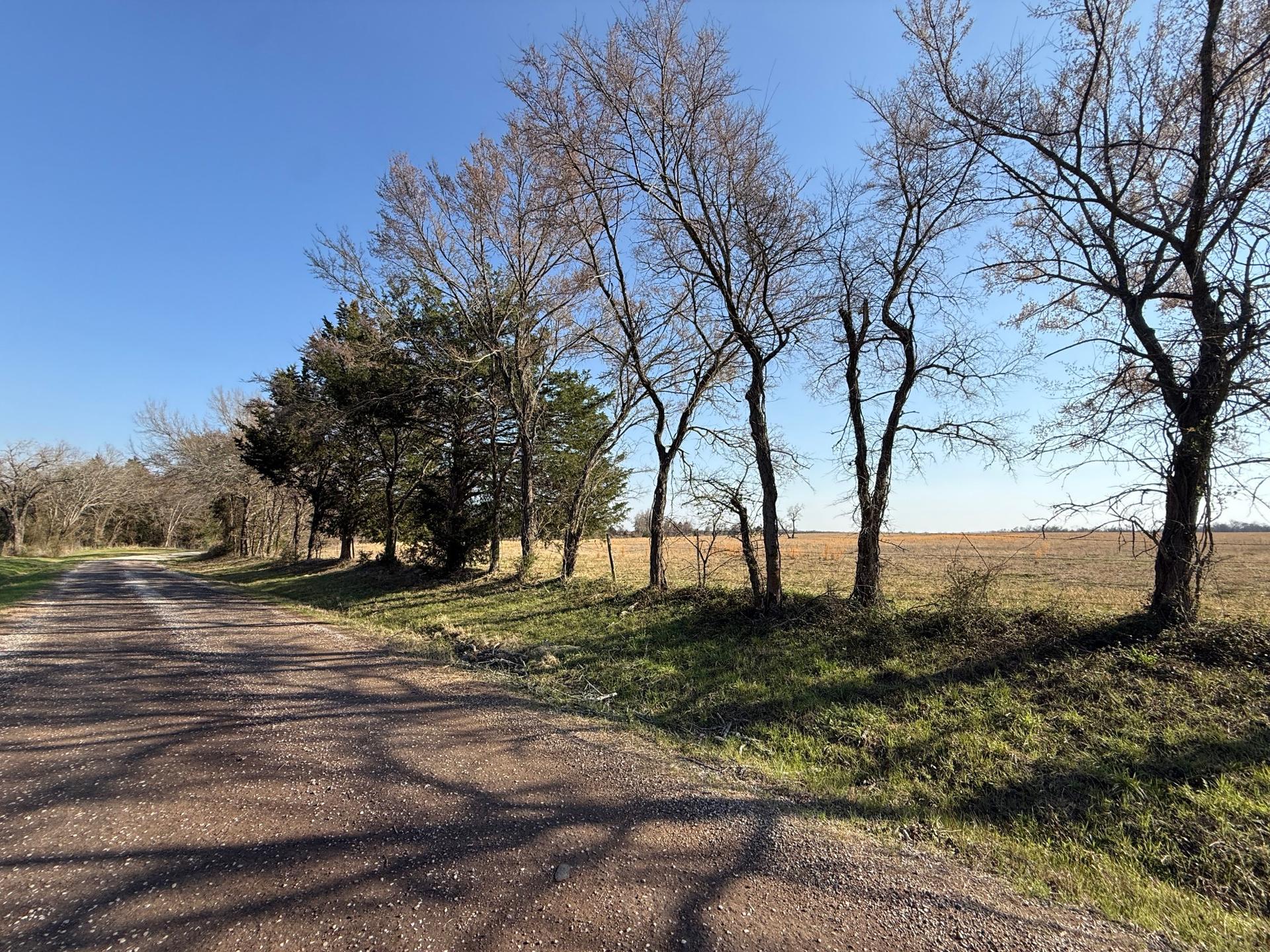 TBD Tract 5 County Road 445, Fairfield, TX, 75840