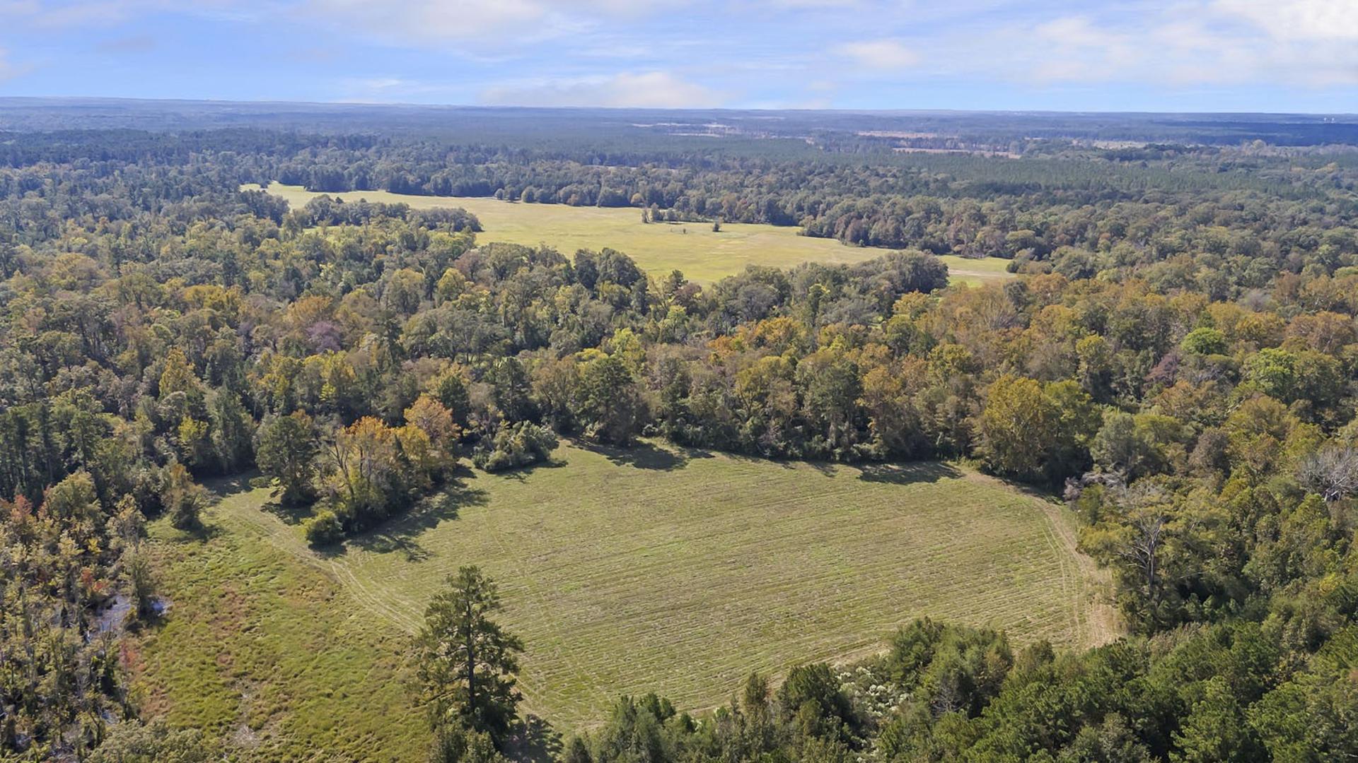 4304 Farm Market 352, Corrigan, TX, 75939