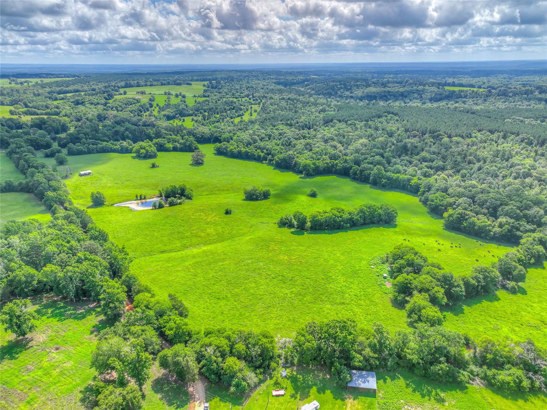 000 County Road 1750, Grapeland, TX, 75844