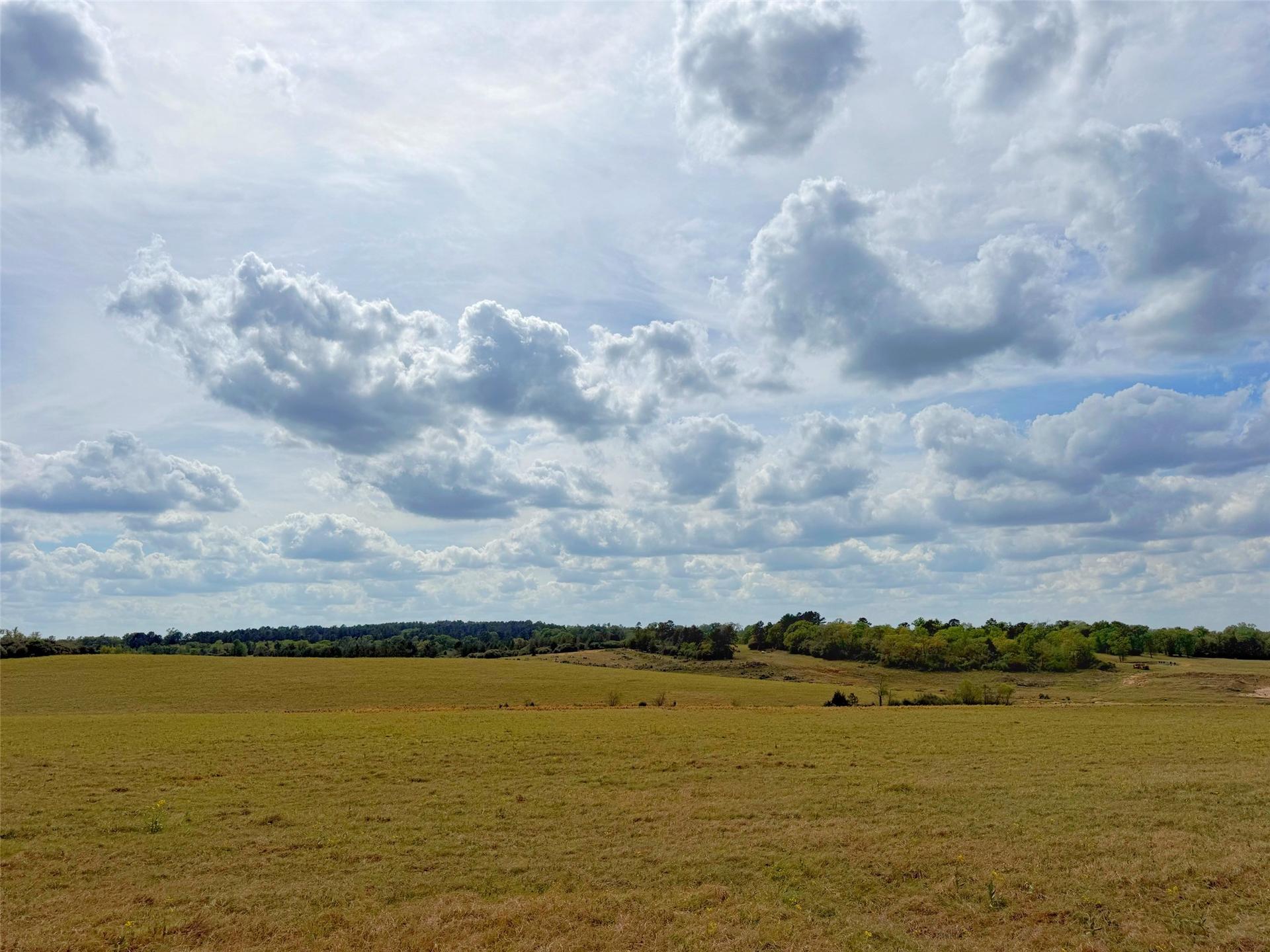 143 ac CR 236, Oakwood, TX, 75855