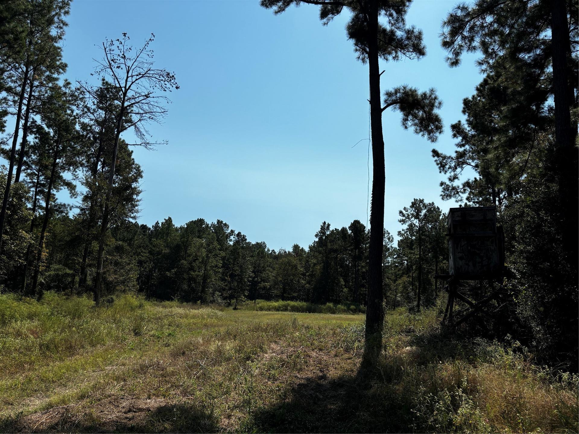 Tract 5 Trinity Lady Park, Trinity, TX, 75862