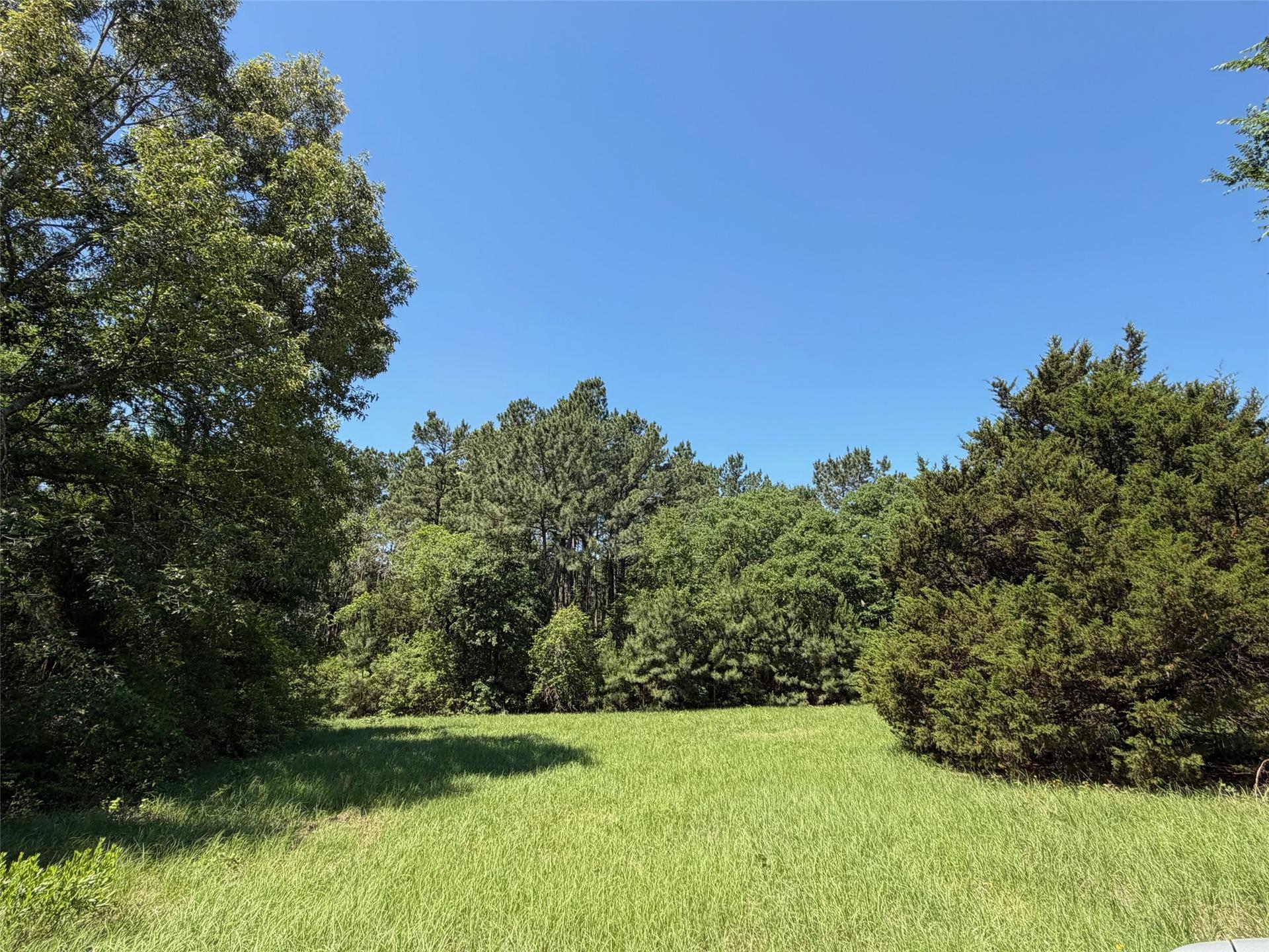 TBD Highway 75 South, Buffalo, TX, 75831
