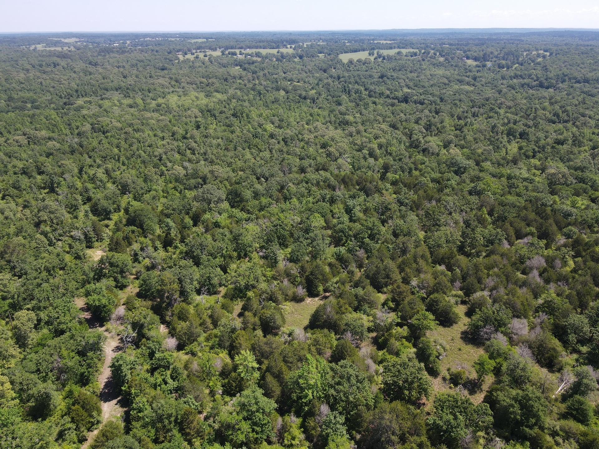 TBD Highway 75 South, Buffalo, TX, 75831