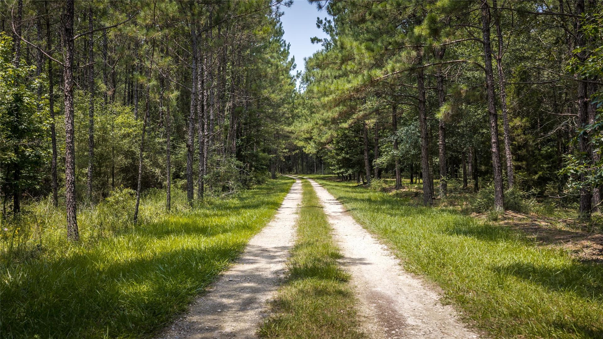 14912 Highway 69, Village Mills, TX, 77663