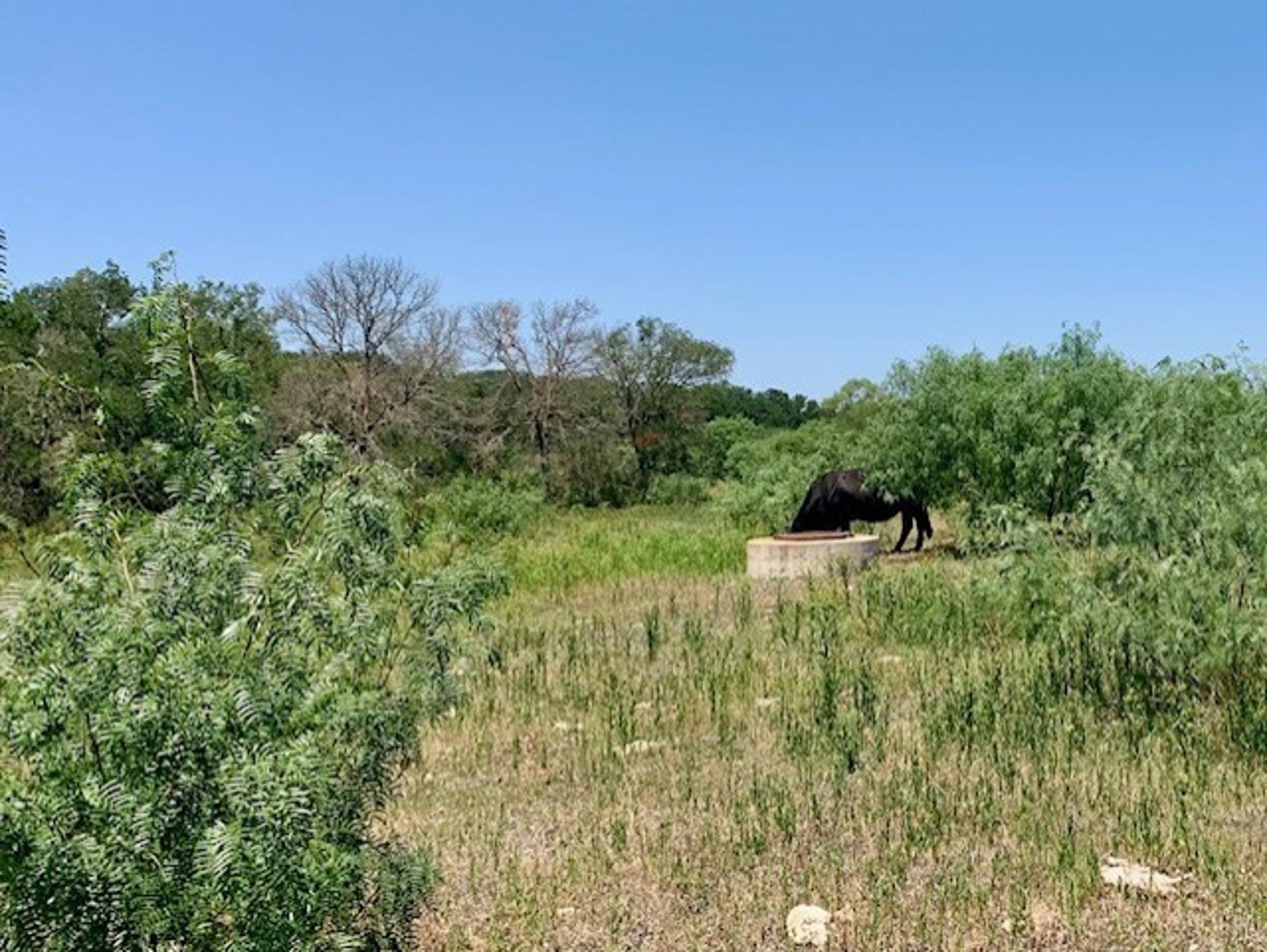 4703 Scenic Lake Drive, Schertz, TX, 78154