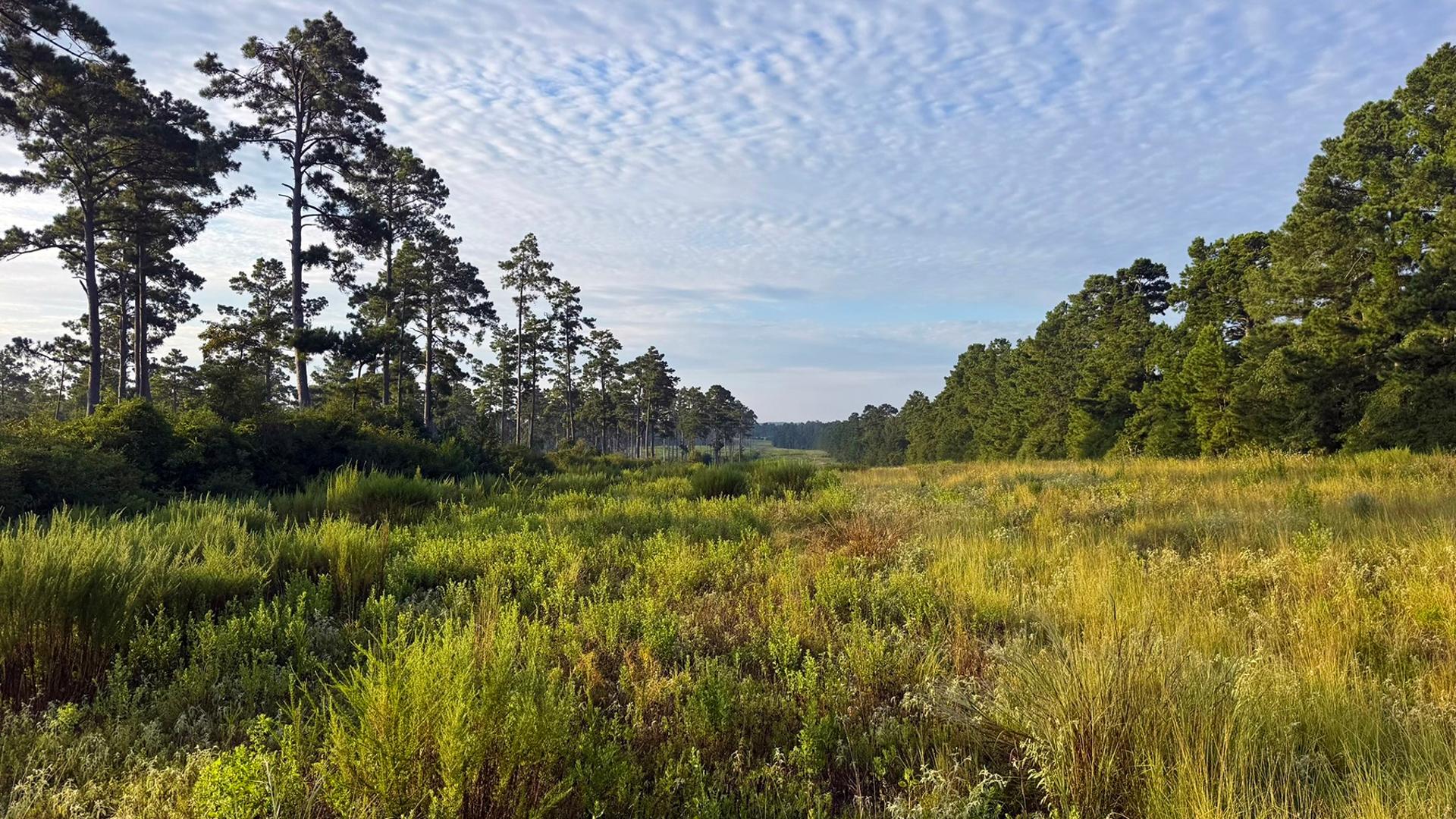 8301 State Highway 7, Centerville, TX, 75833