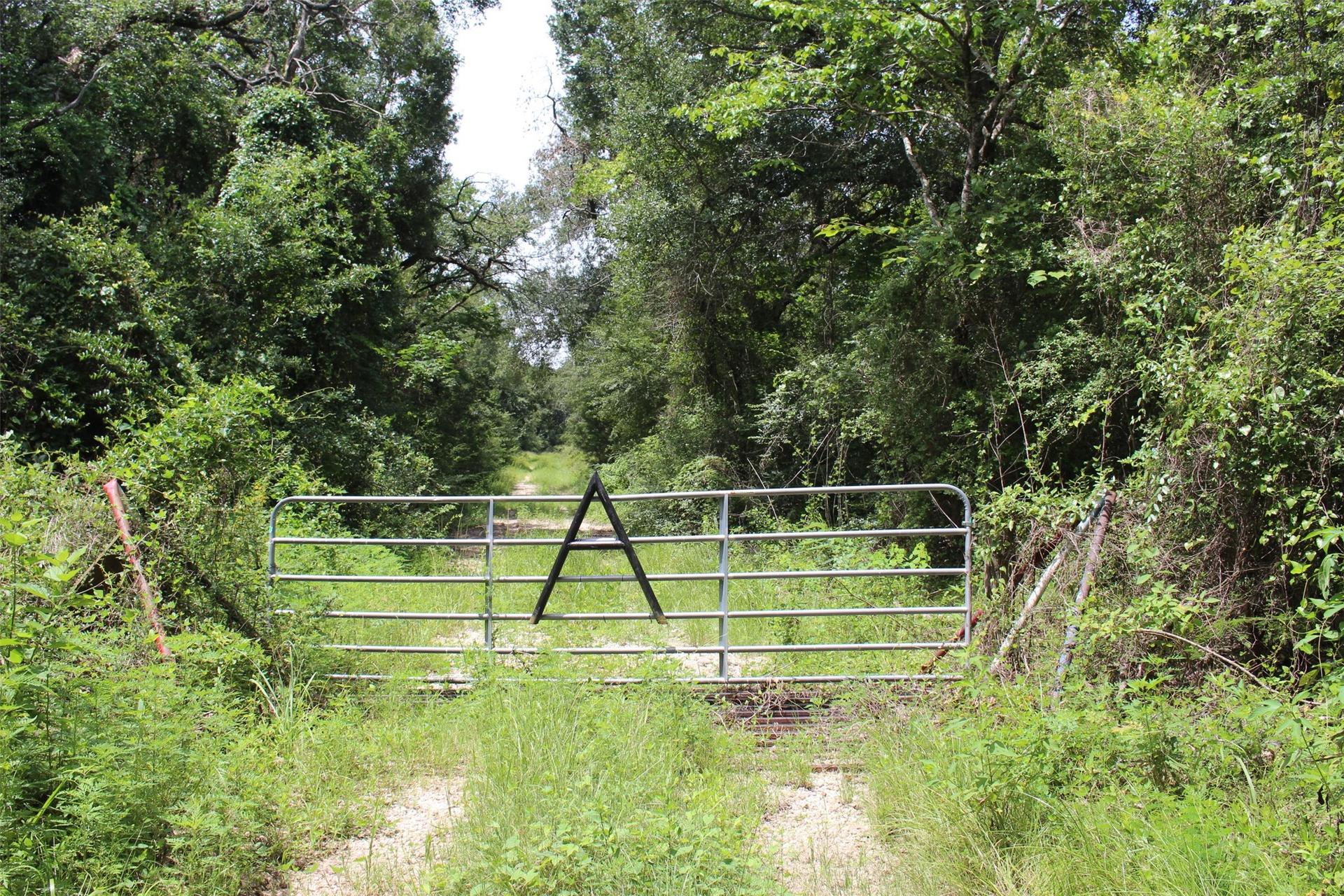 1306 County Road 3455a, Lovelady, TX, 75851
