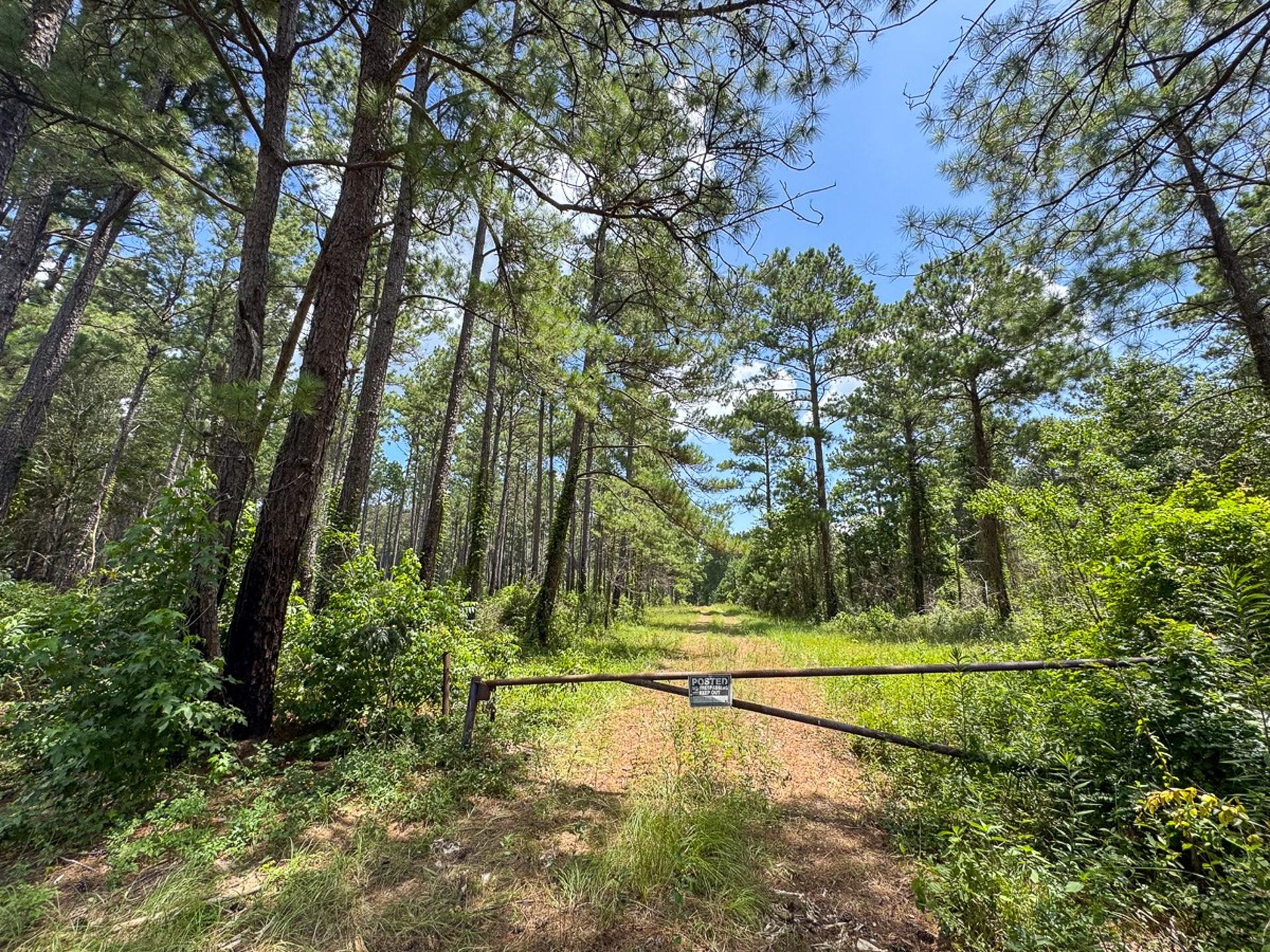 00 FM 946, Oakhurst, TX, 77359