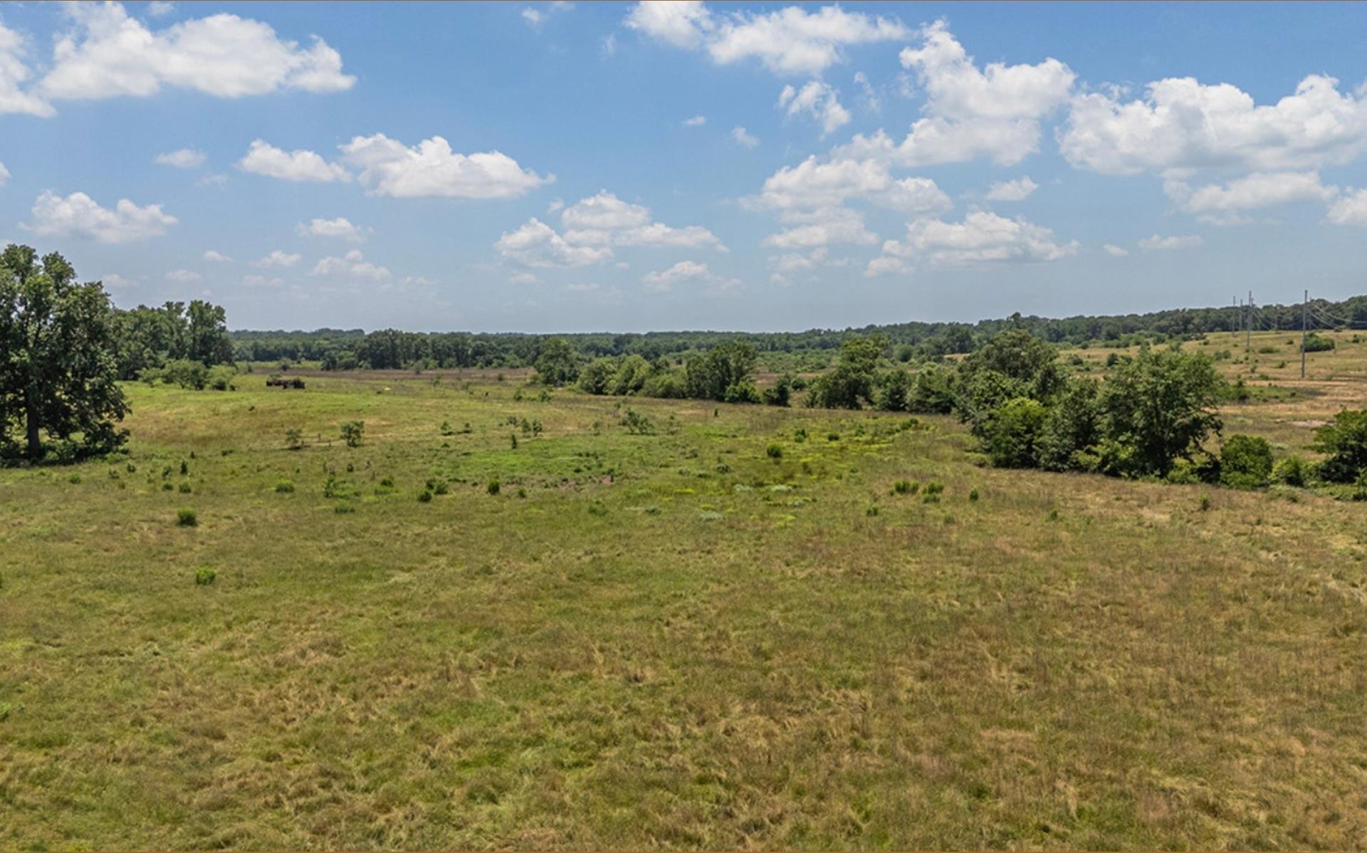 TBD FM 857, Grand Saline, TX, 75140