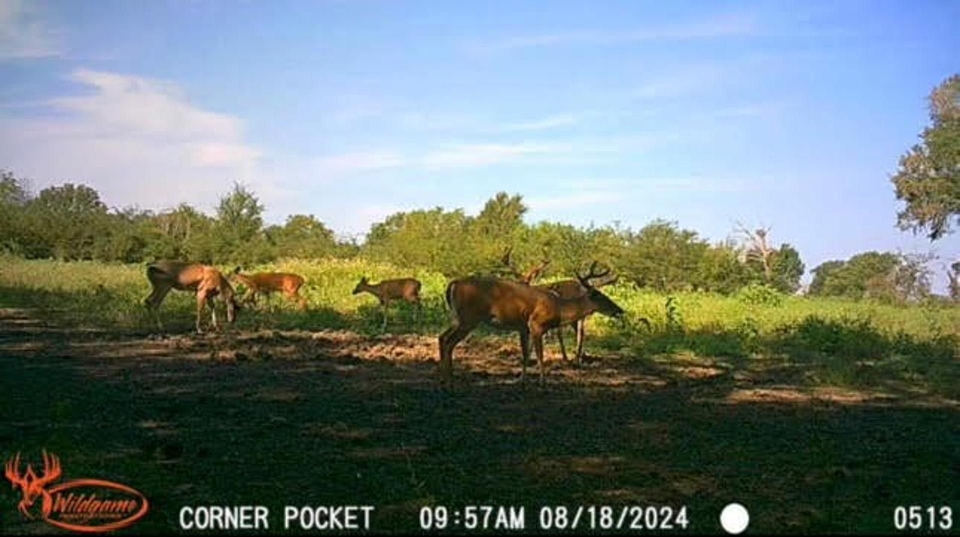 TBD Pr 1350, Centerville, TX, 75833