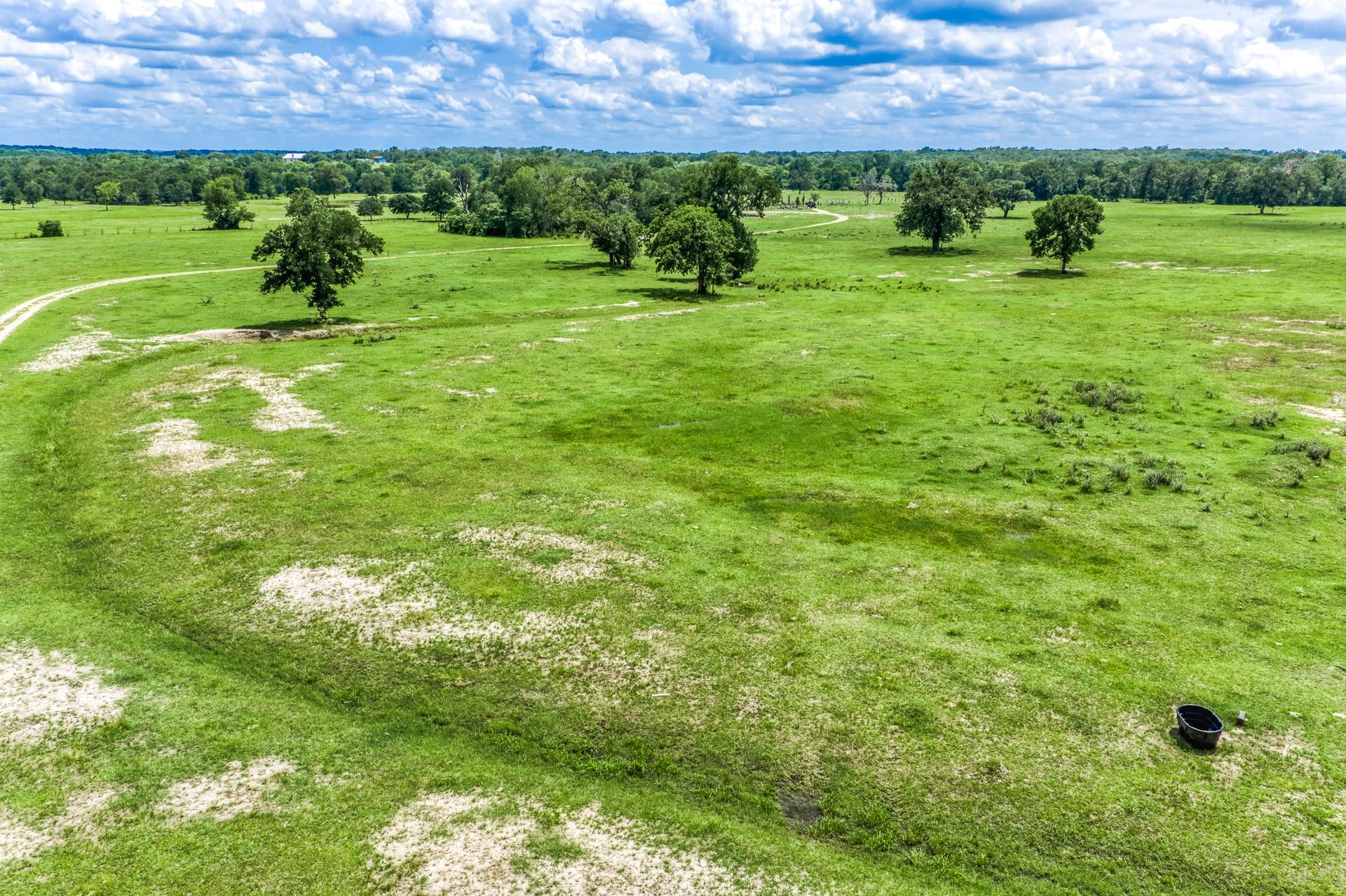 TBD(+/-237.91 AC) HWY 36 S, Caldwell, TX, 77836