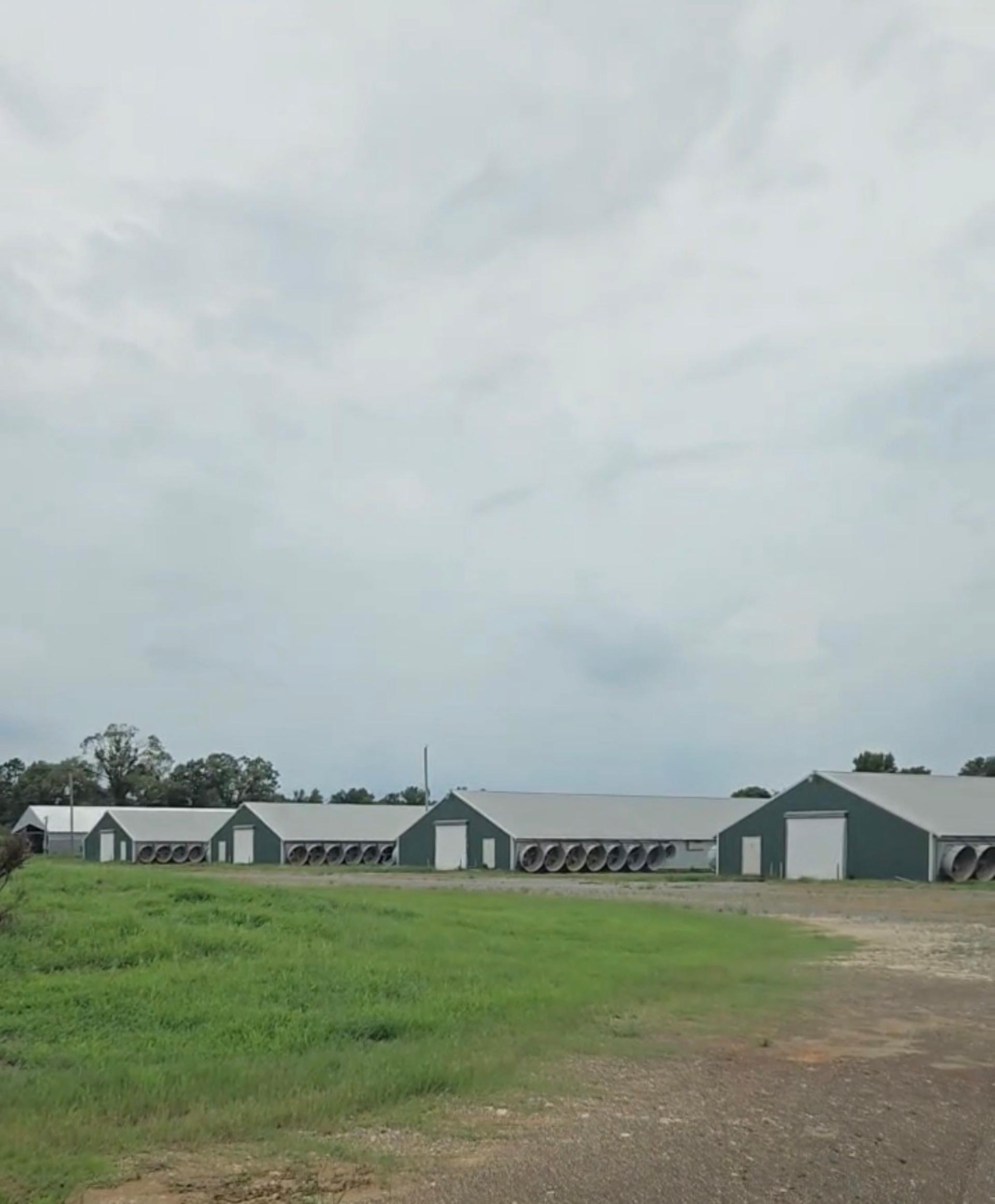 6140 & 6142 E Hwy 84, Palestine, TX, 75801