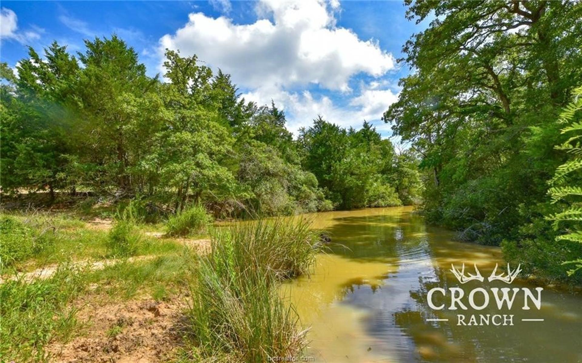 TBD FM 908 - 1057 acres, Caldwell, TX, 77836