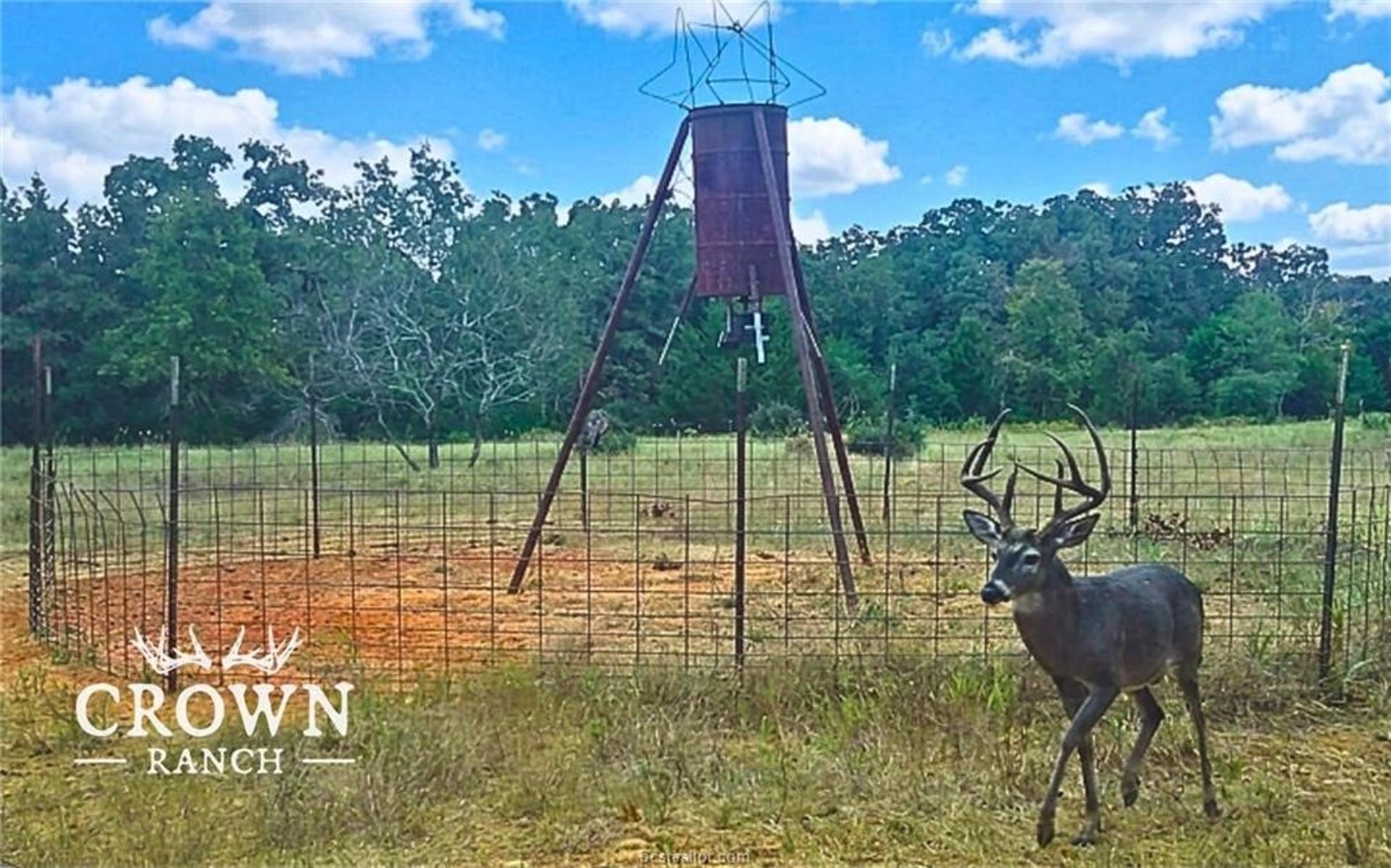 TBD FM 908 - 1057 acres, Caldwell, TX, 77836