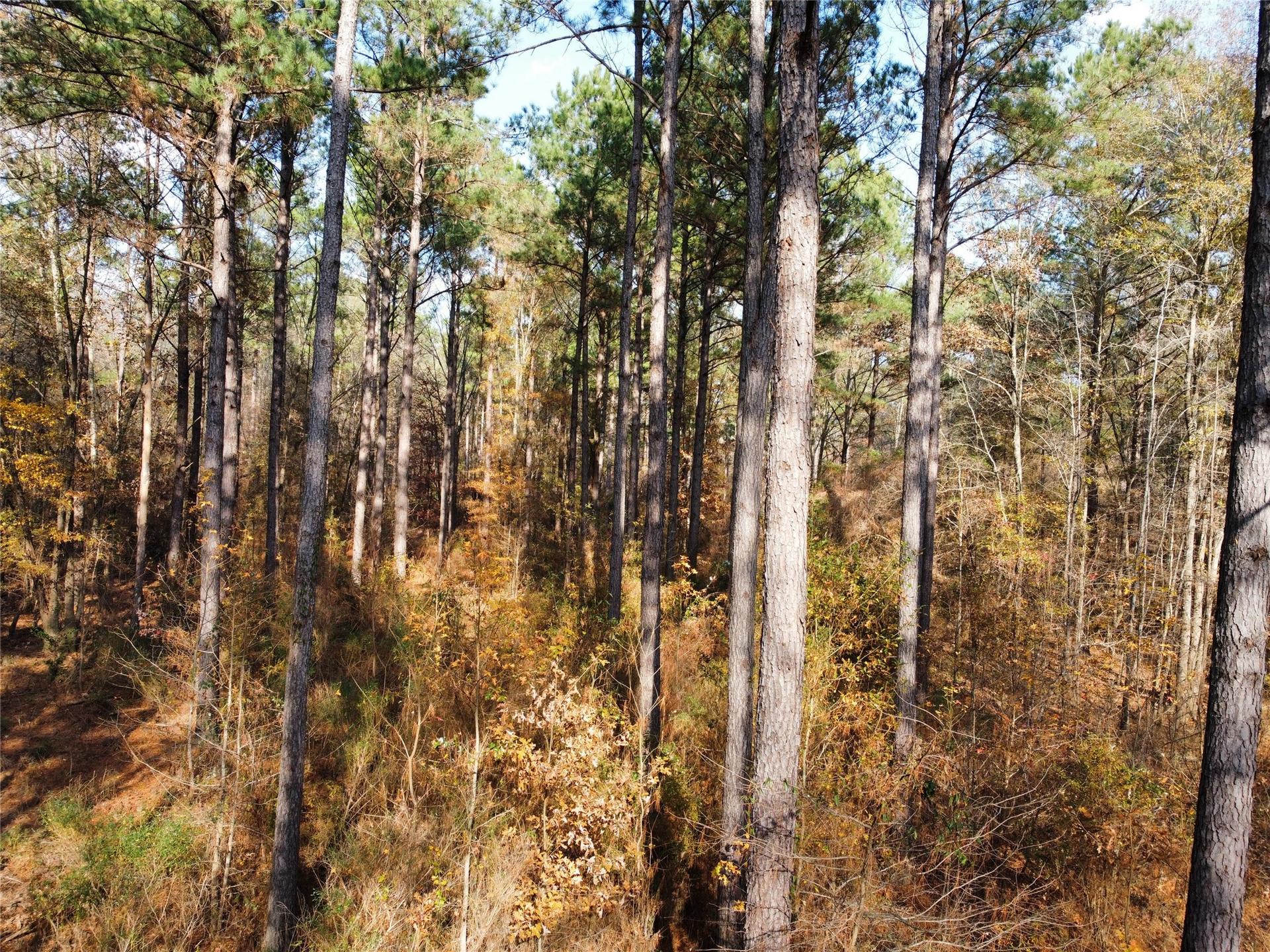 7525 State Highway 154, Gilmer, TX, 75645