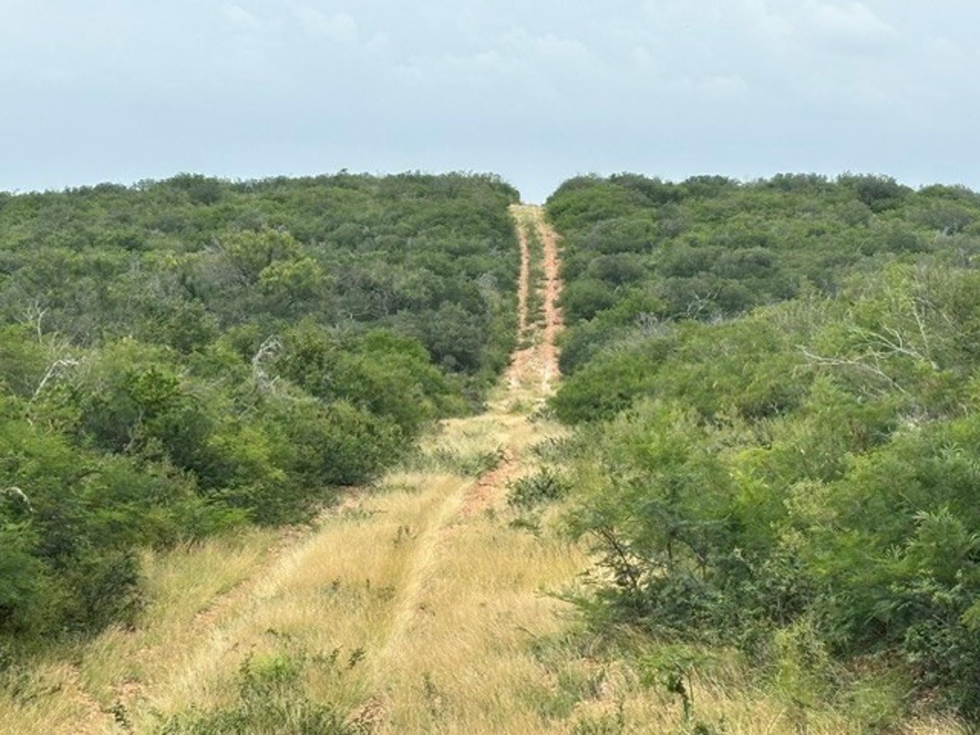 5394 Fm 2200, Moore, TX, 78016
