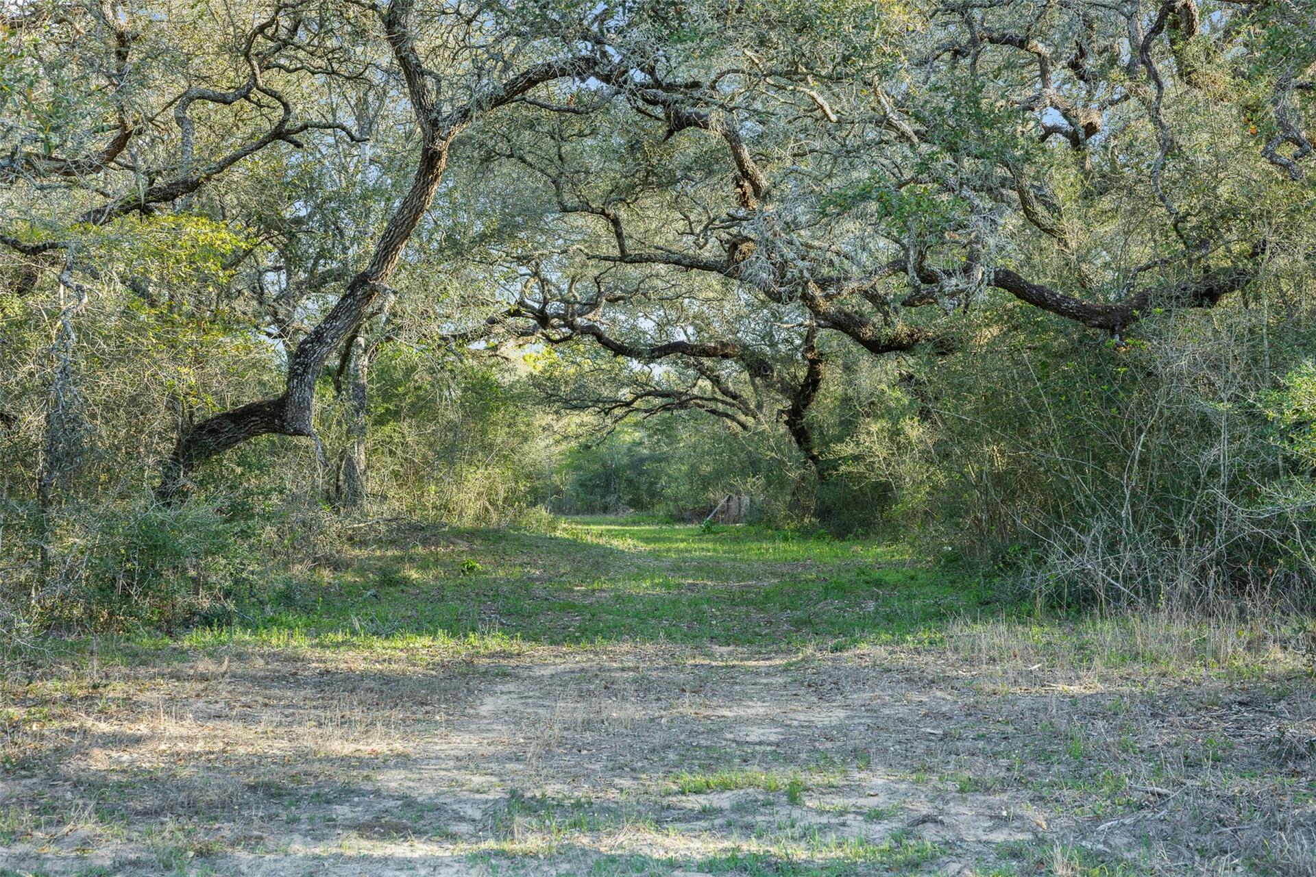 1746 County Road 103, Columbus, TX, 78934