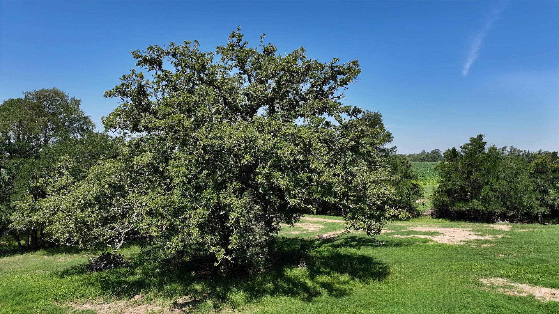 TBD Warda Church, Warda, TX, 78945