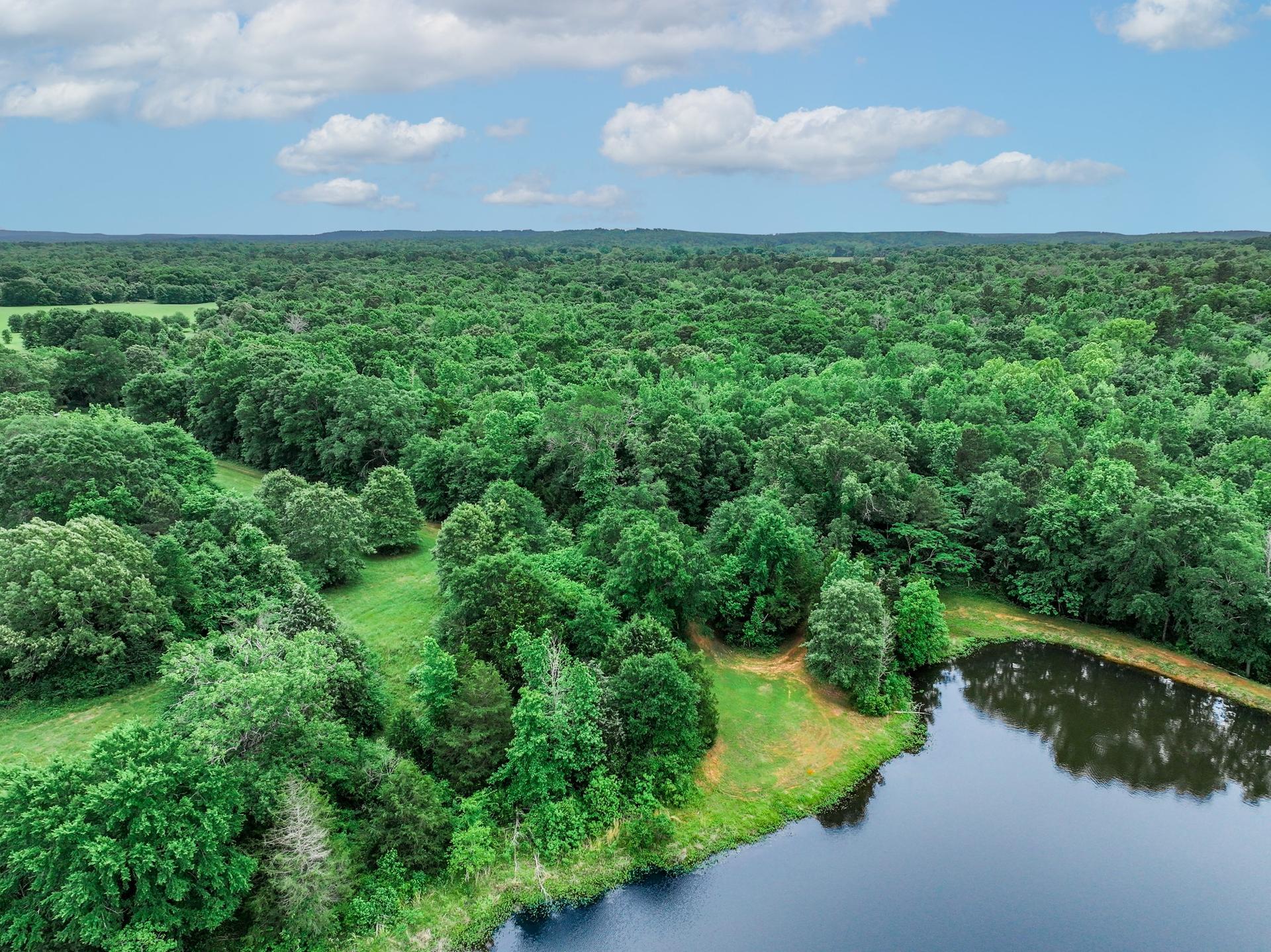 3732 US Highway 84, Palestine, TX, 75801