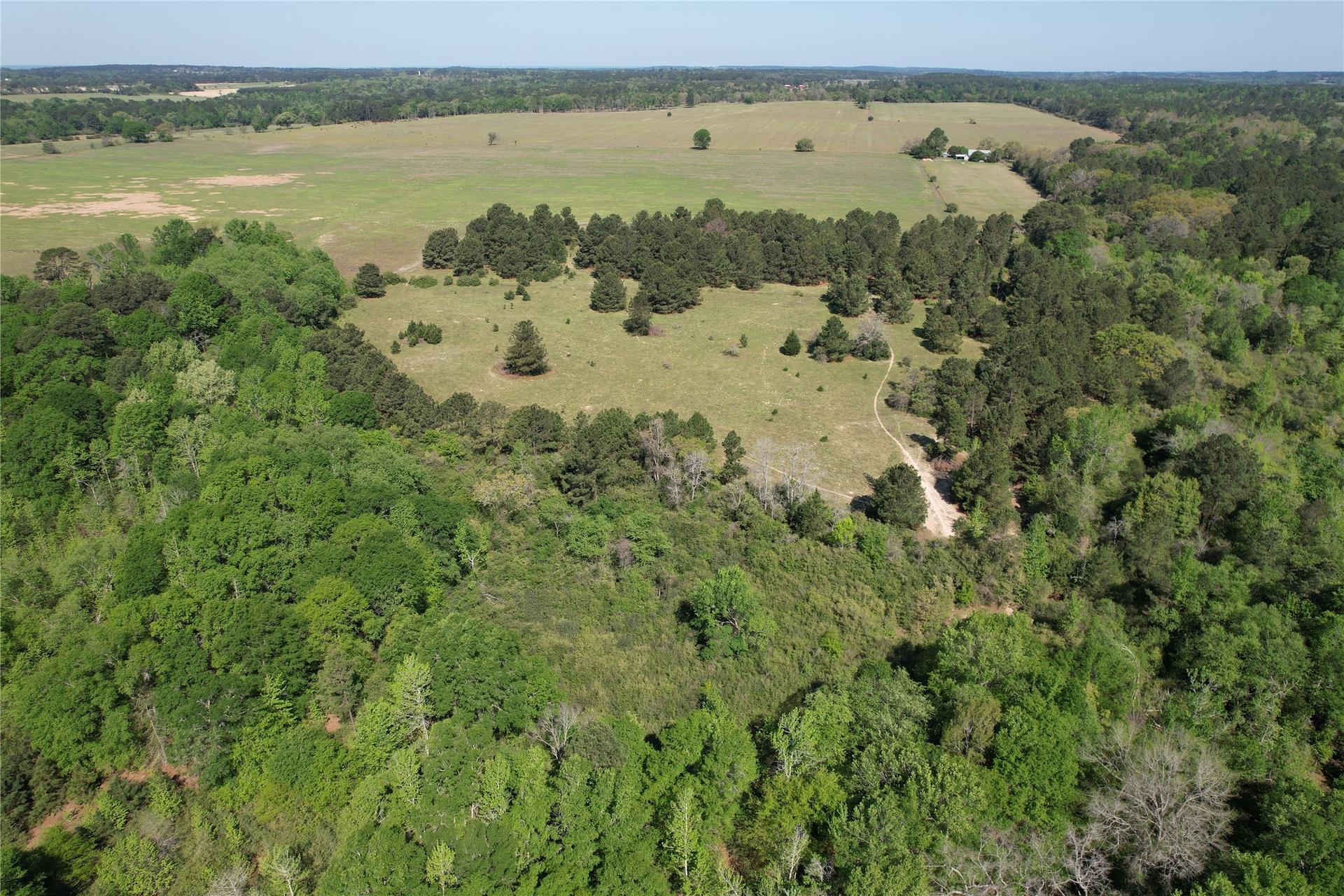 2954 CR 2170, Grapeland, TX, 75844