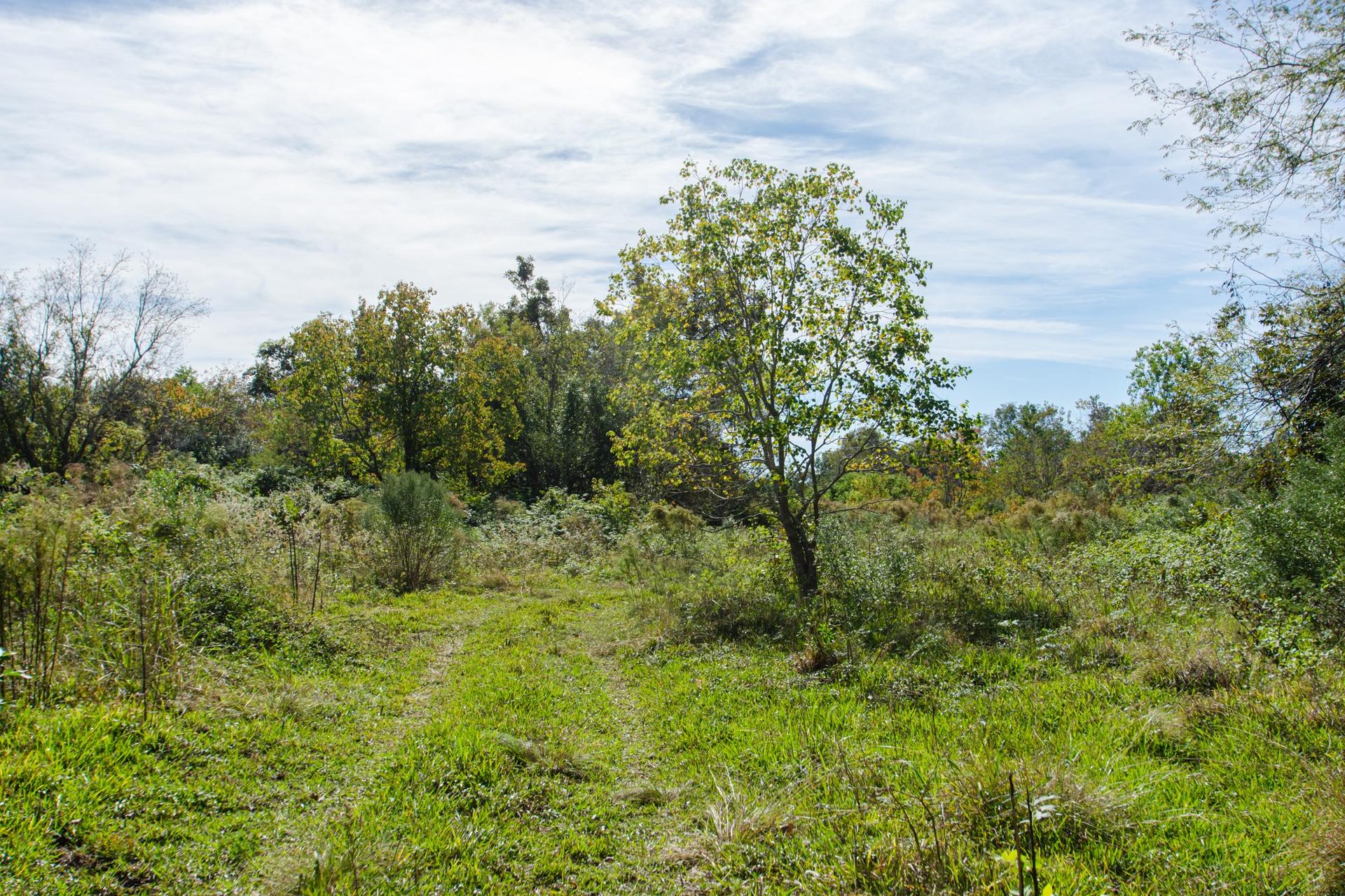 TBD Hwy 36, Jones Creek, TX, 77541