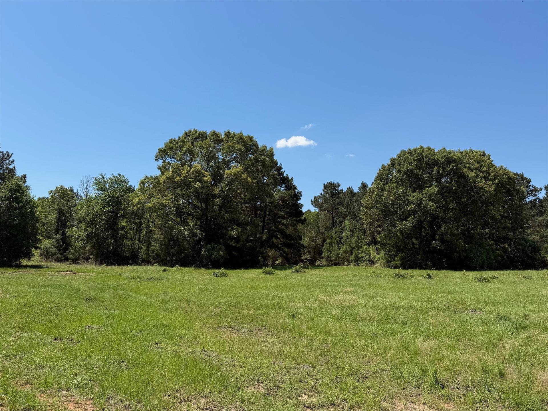 TBD Hwy 75 South, Buffalo, TX, 75831