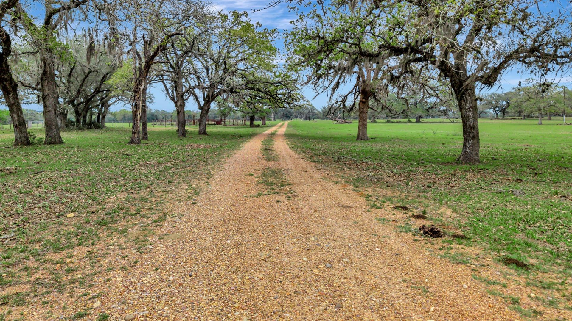 16297 State Highway 111, Yoakum, TX, 77995