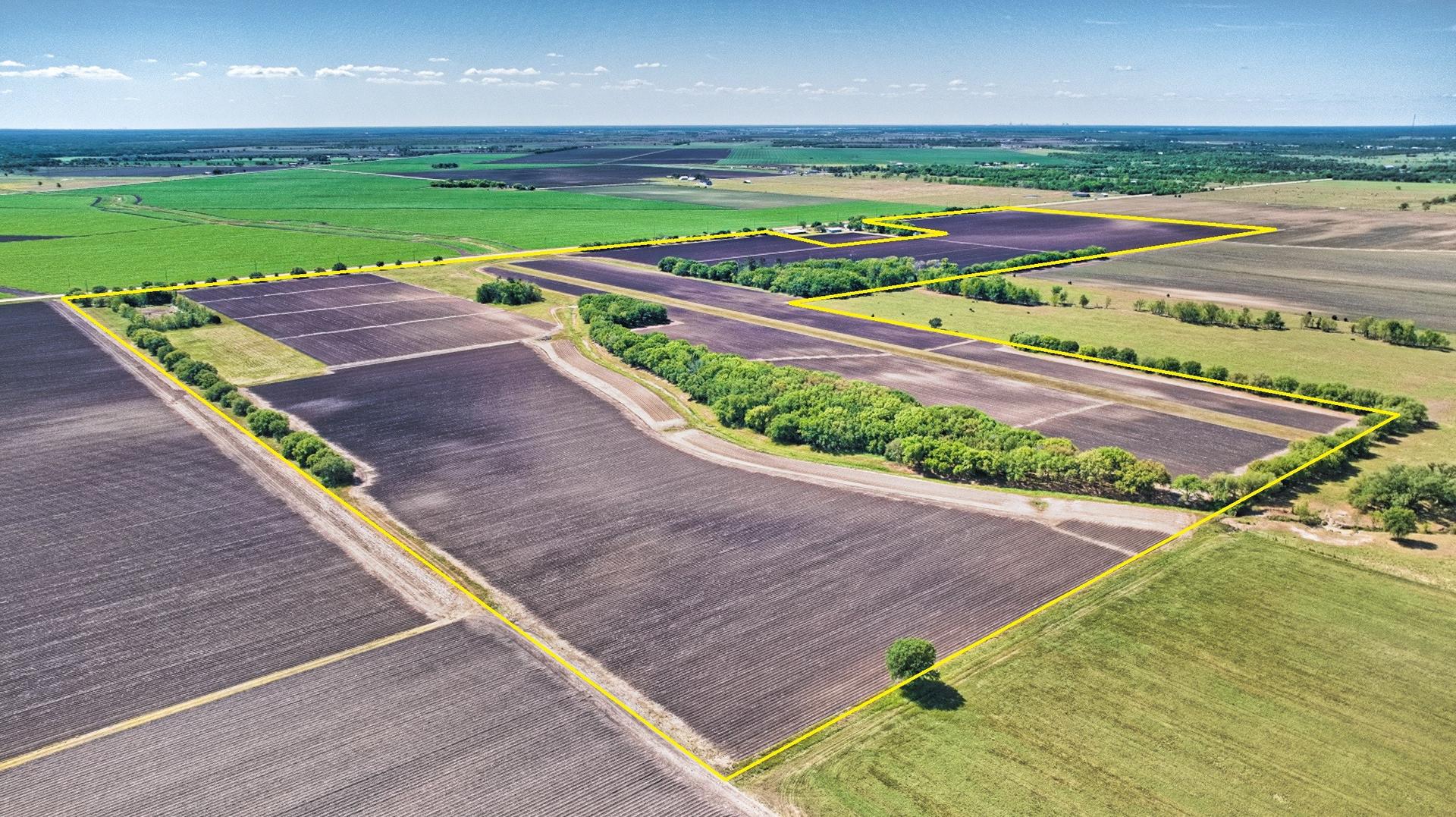 000 FM 1462, Damon, TX, 77430