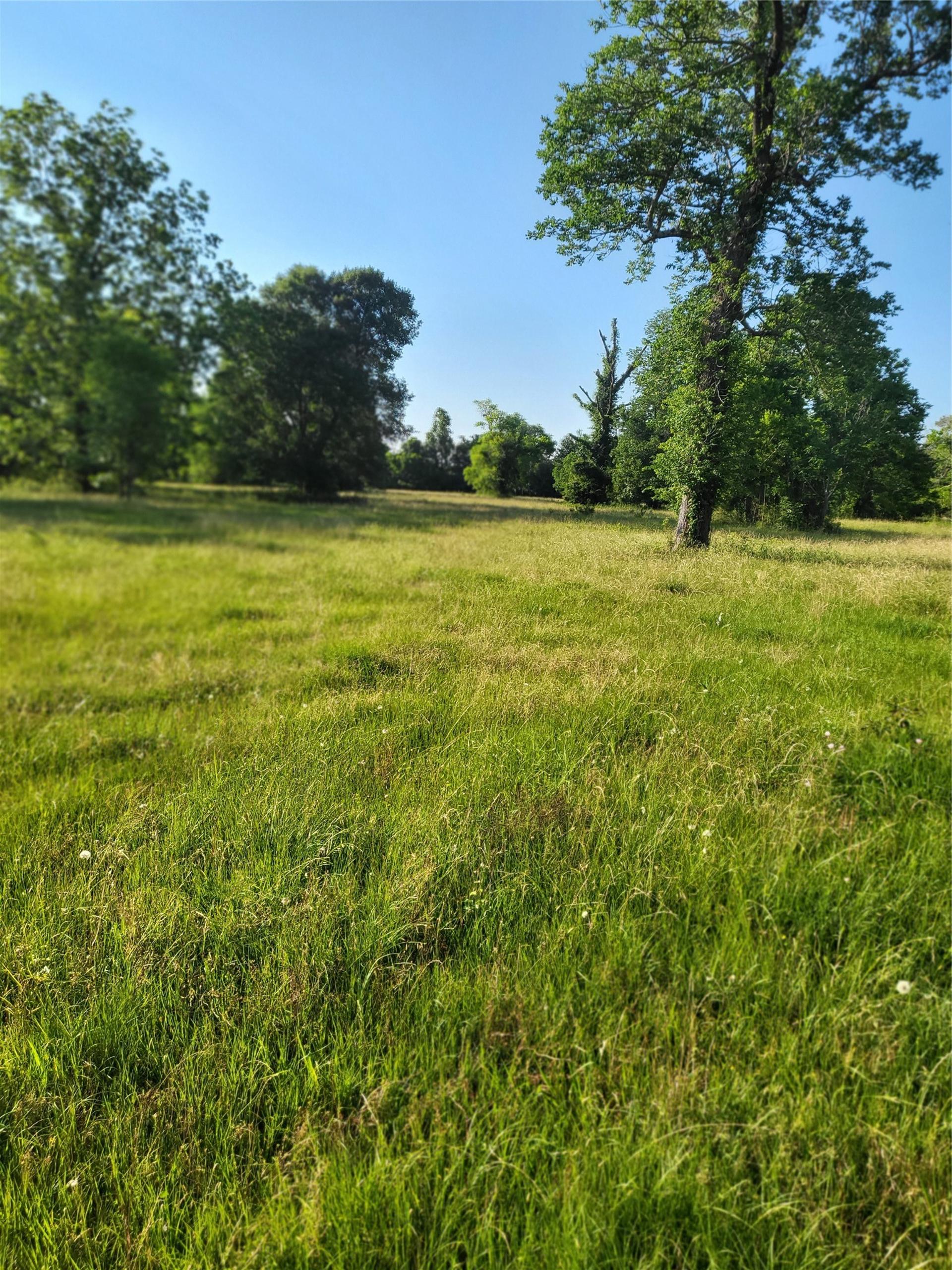 799 East Taylor Lake Circle, Livingston, TX, 77351