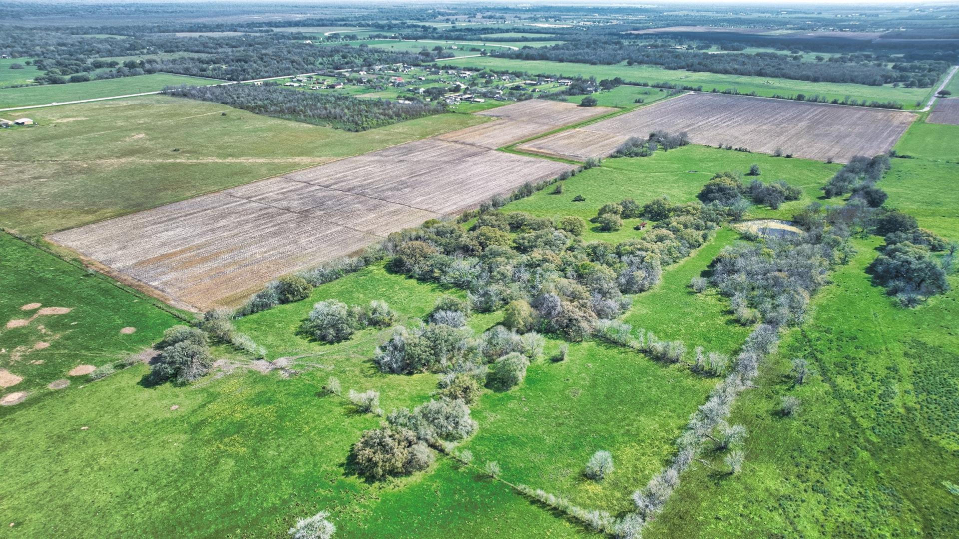000 Davis Estate, Needville, TX, 77461