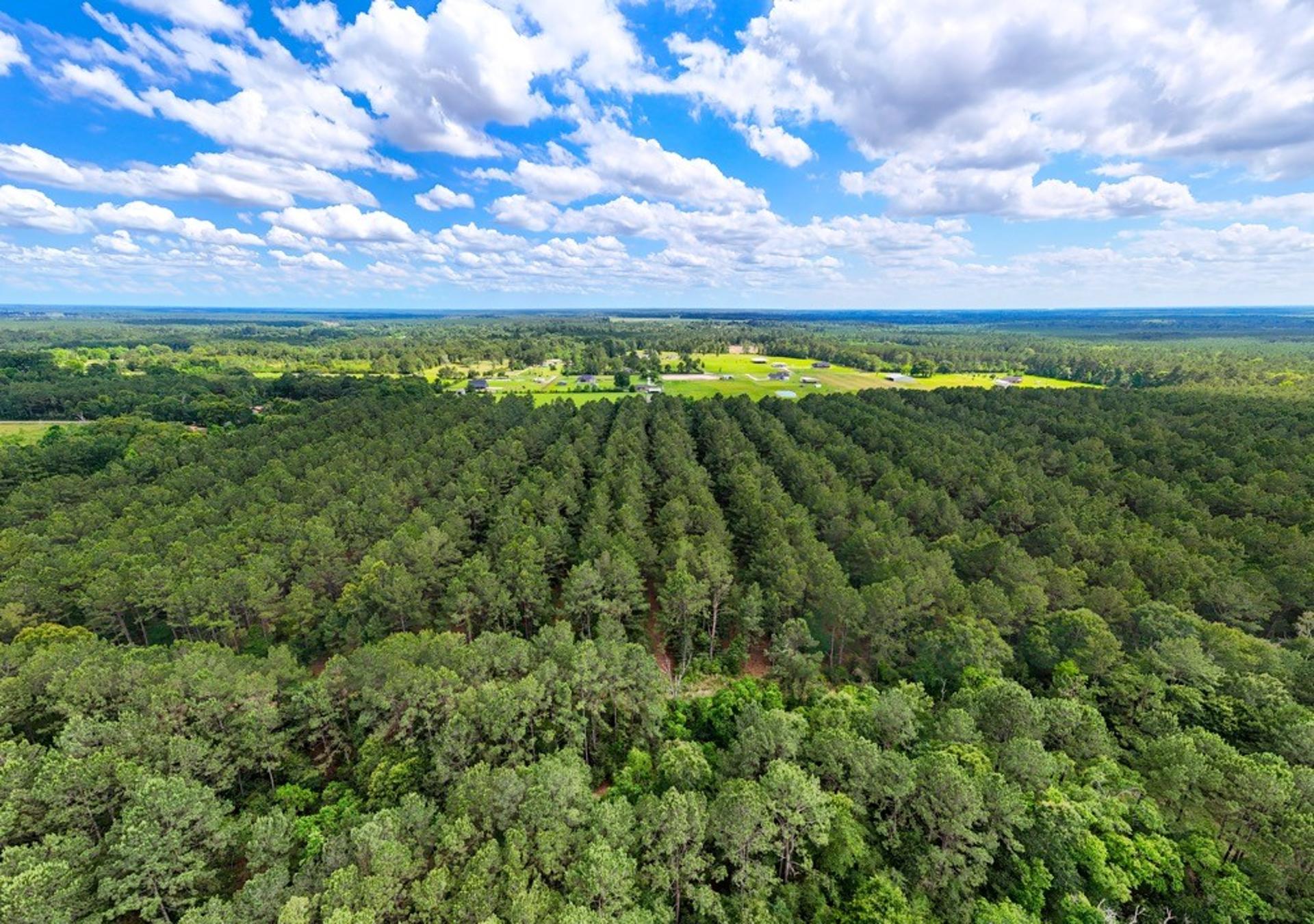 TBD Private Road 5170, Kirbyville, TX, 75956