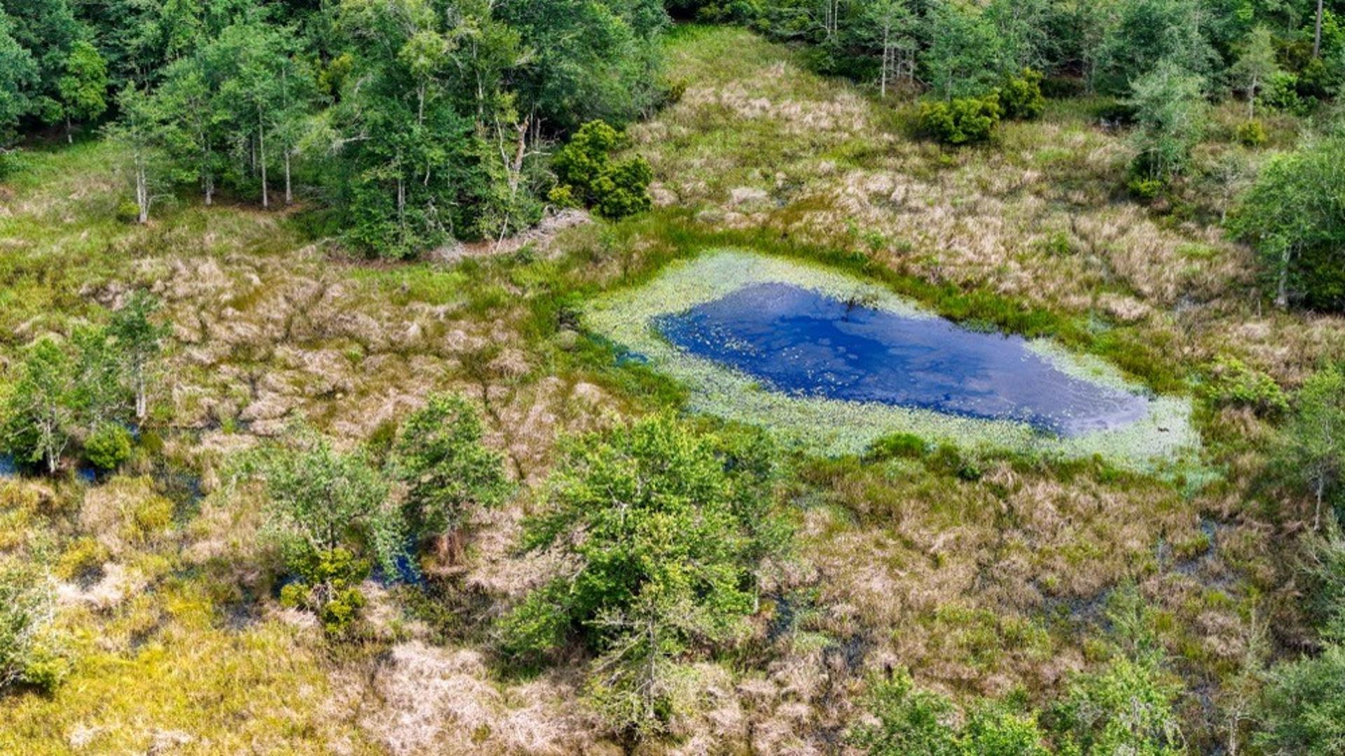 TBD Private Road 5170, Kirbyville, TX, 75956