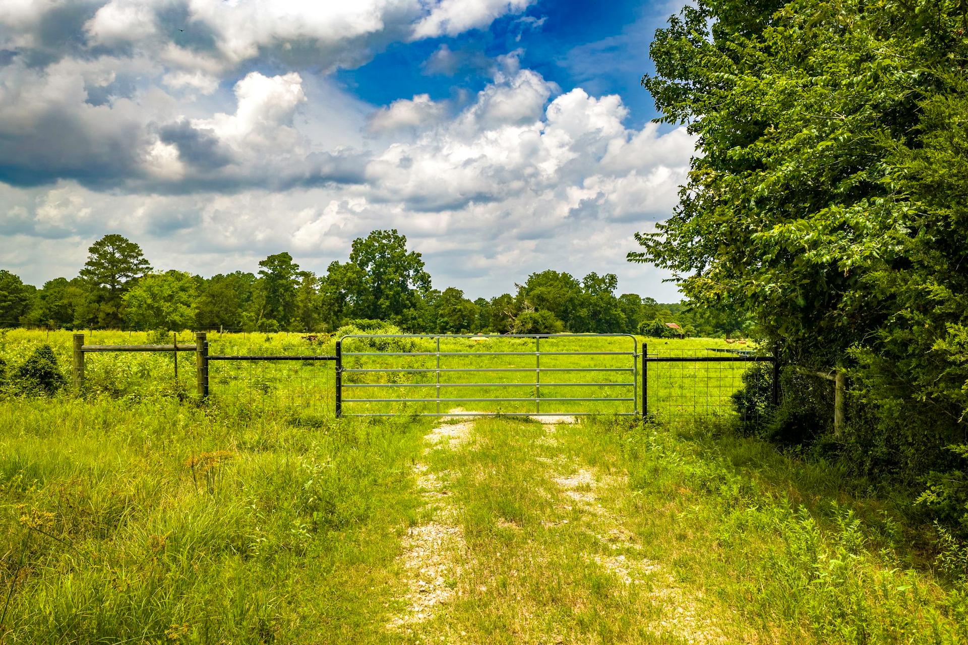 TBD 1375, New Waverly, TX, 77358