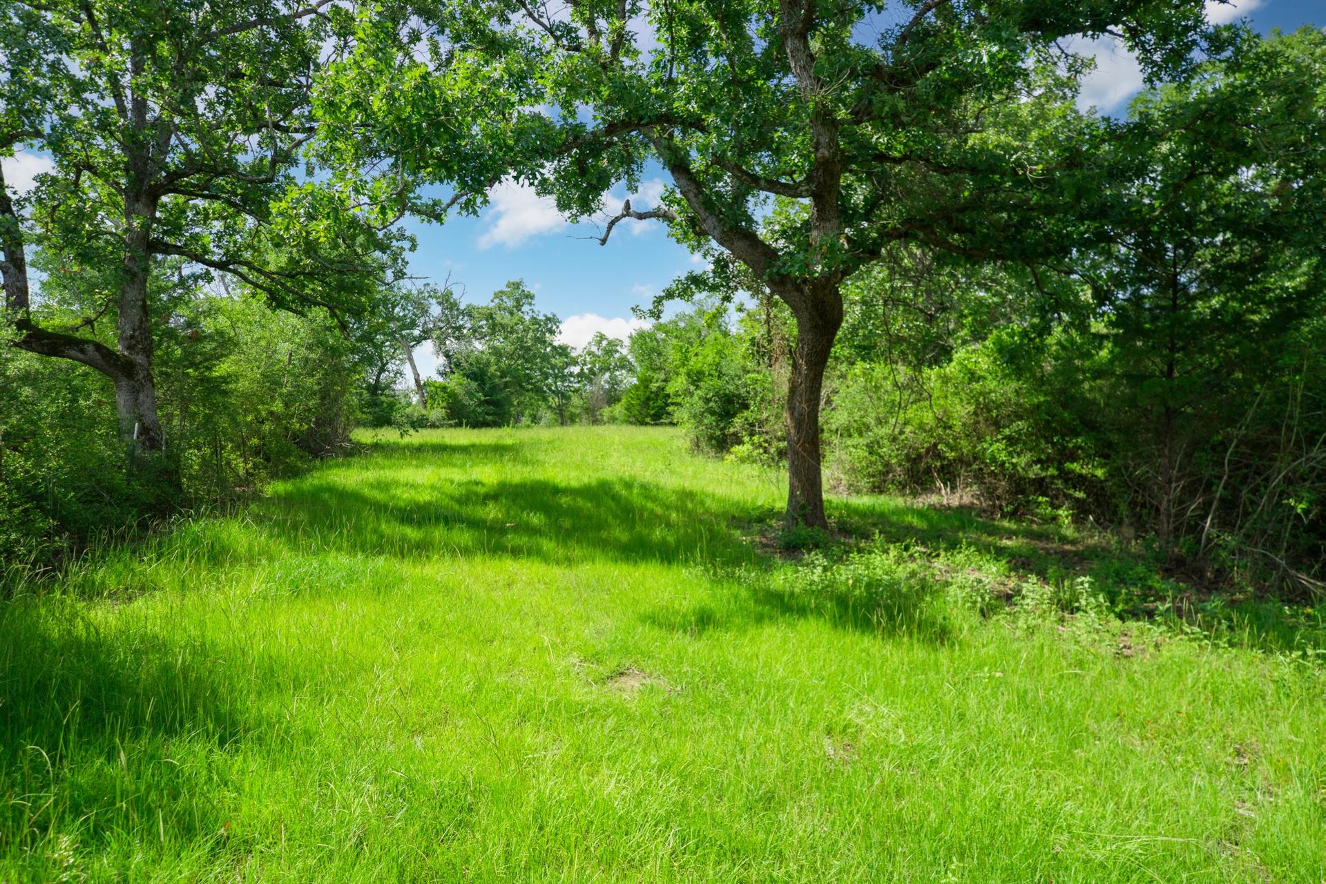 6443 US Highway 79, Buffalo, TX, 75831