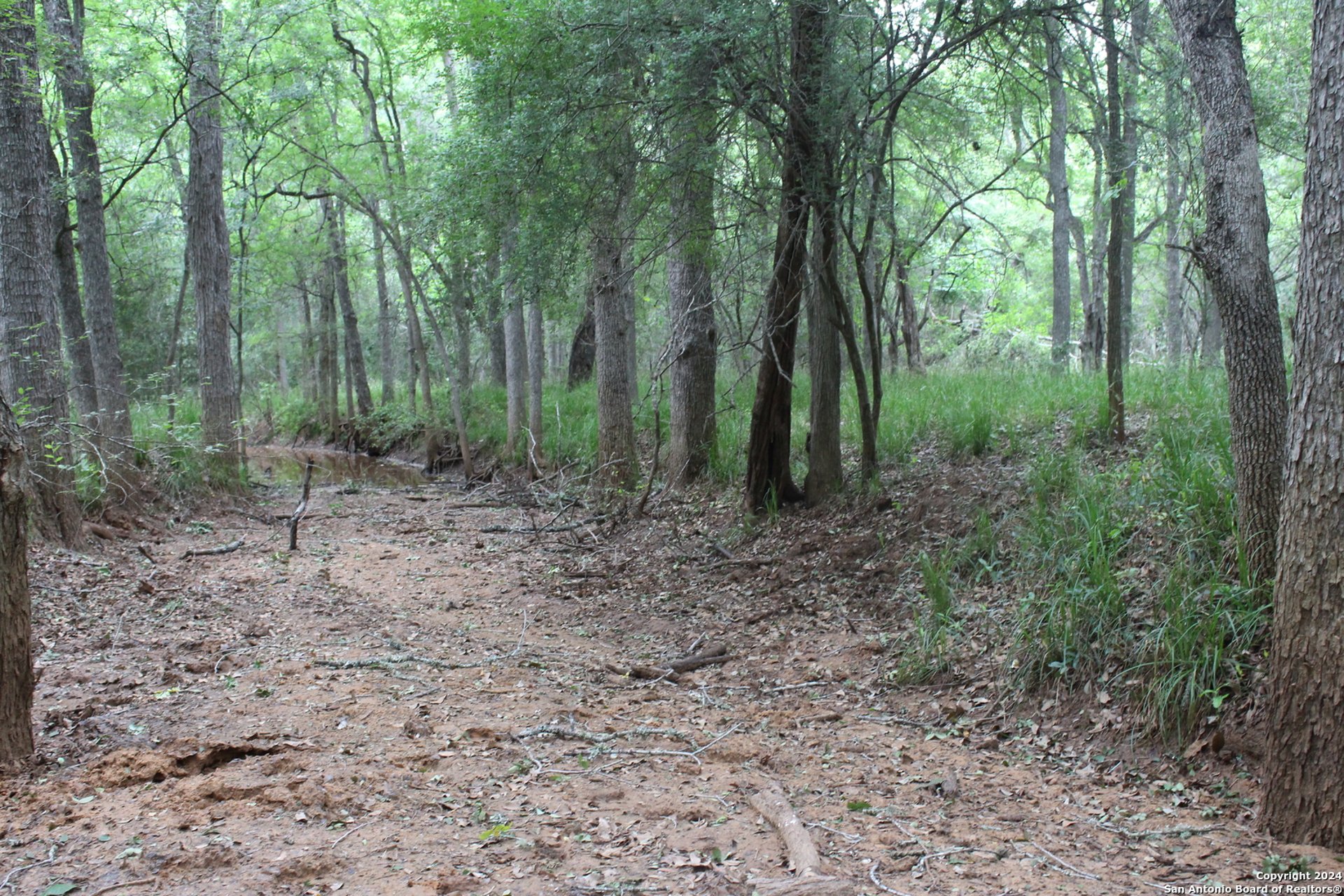 TBD Twin Creeks Rd, SEGUIN, TX, 78155