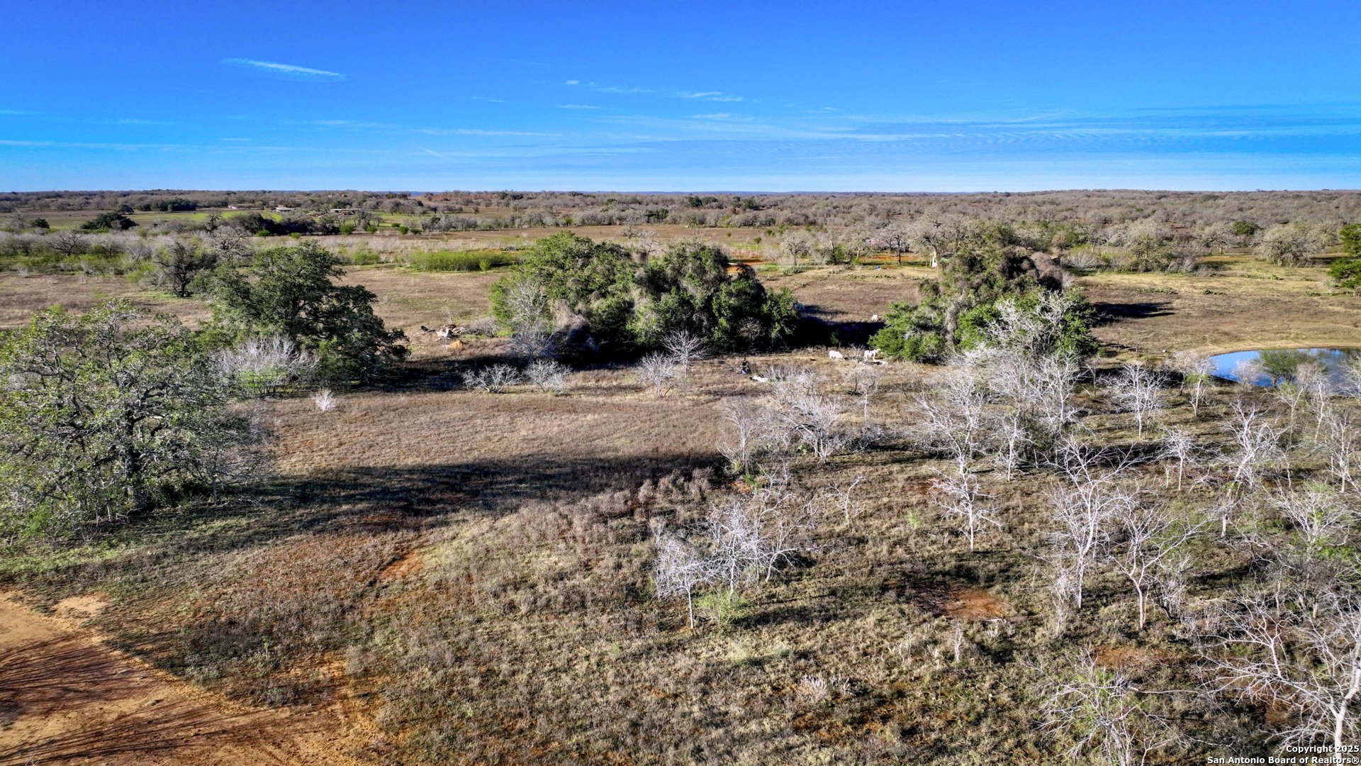 50+/- ACRES FM 1681, NIXON, TX, 78140-4176