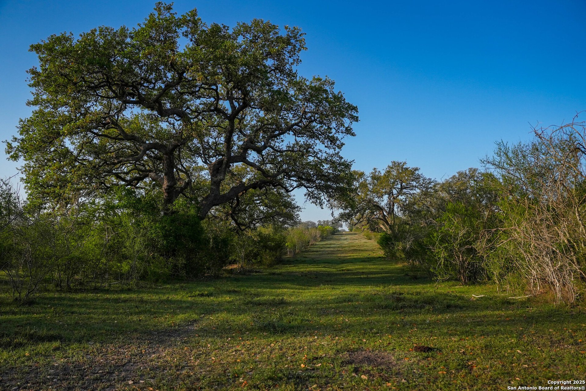 8440 State Highway 239 W, GOLIAD, TX, 77963