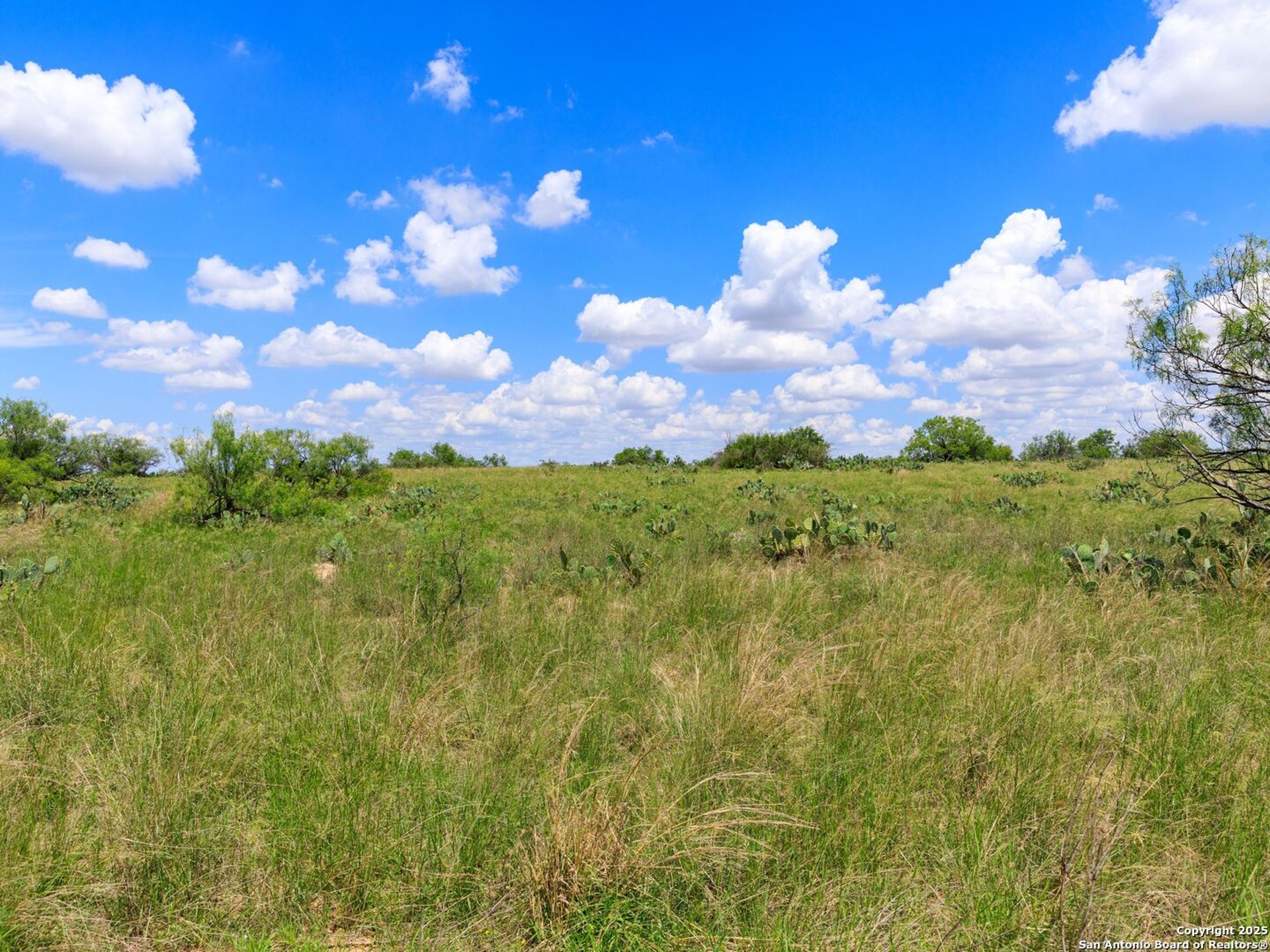 200-236 FM 3252, CARRIZOSPR, TX, 78836