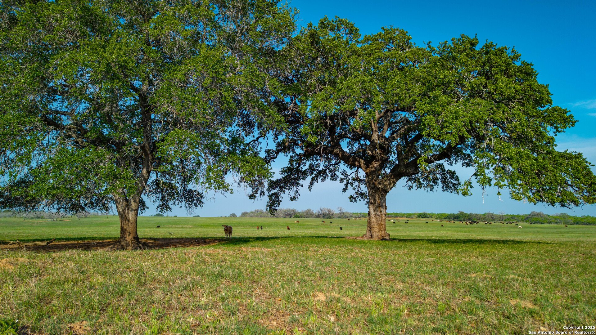 TBD County Road 404, FLORESVILL, TX, 78114