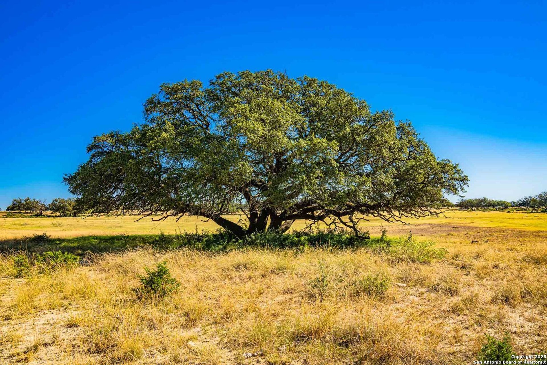 8300 SCR 314, SONORA, TX, 76950