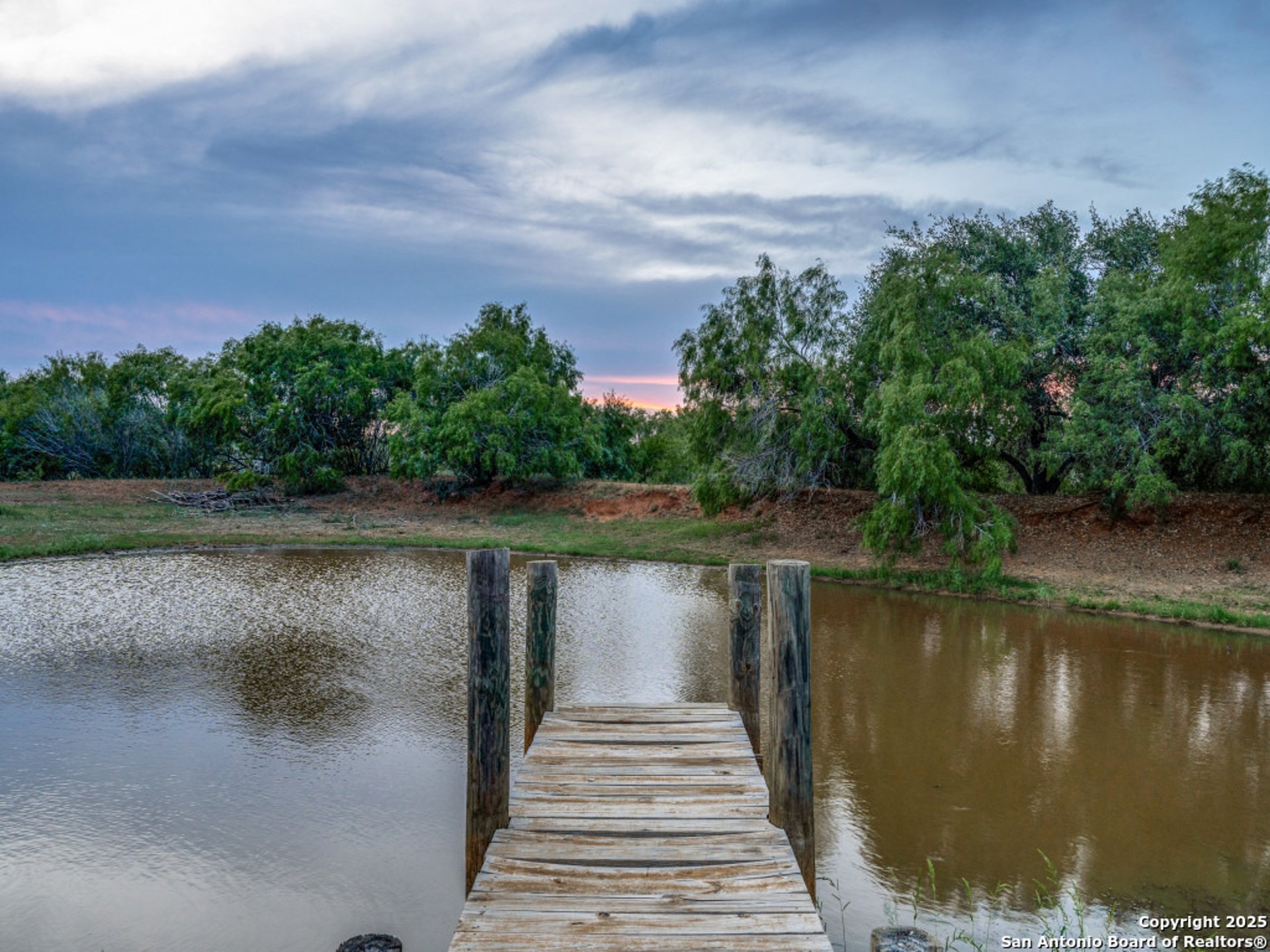 2831 county road 430, PLEASANTON, TX, 78064