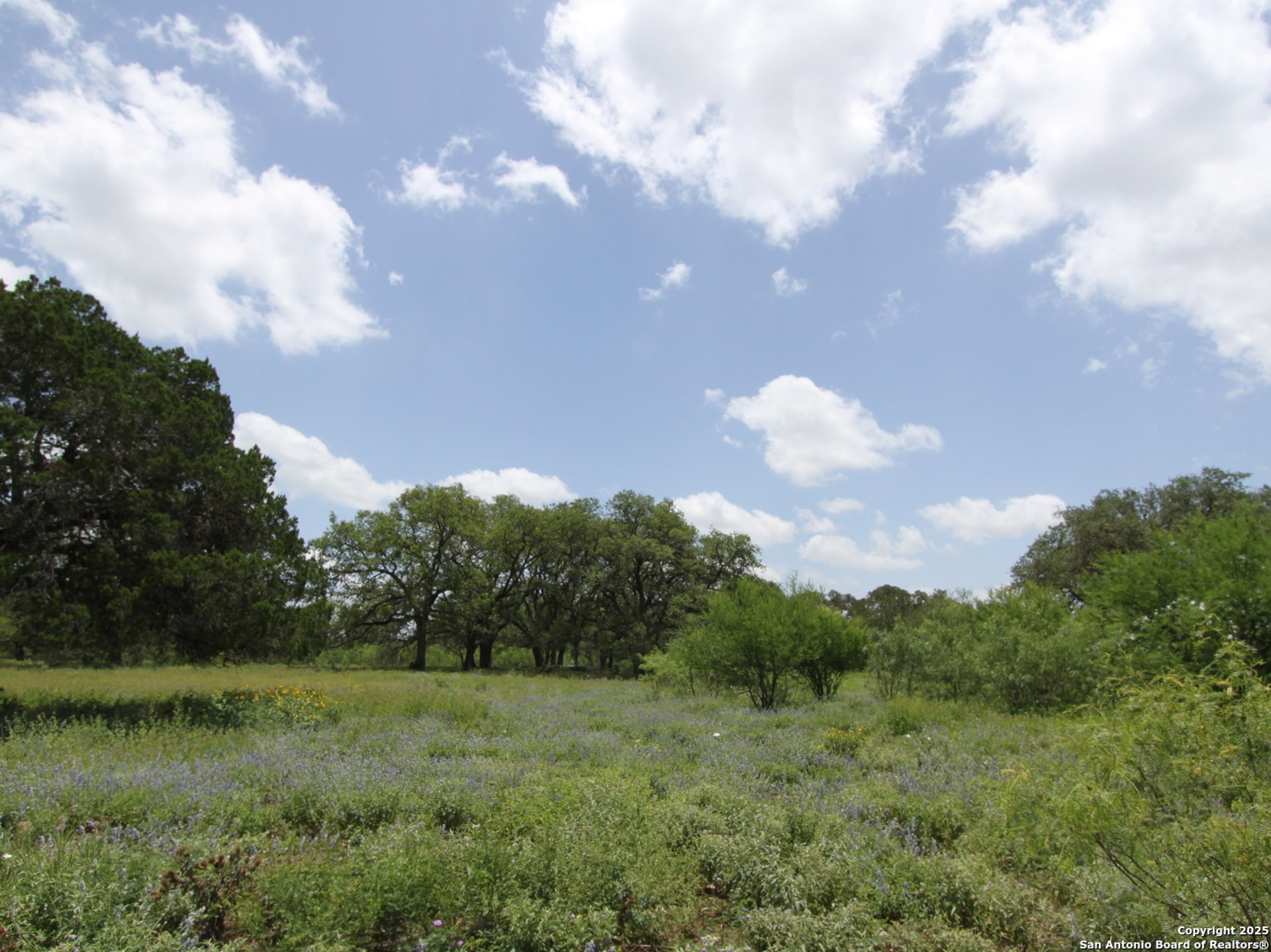 1210 Whispering Woods, NEWBRAUNFE, TX, 78132